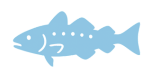 Groundfish