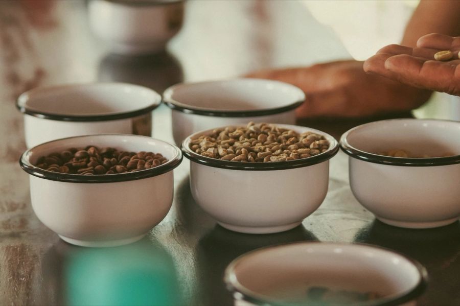 Roasted coffee beans in white cups