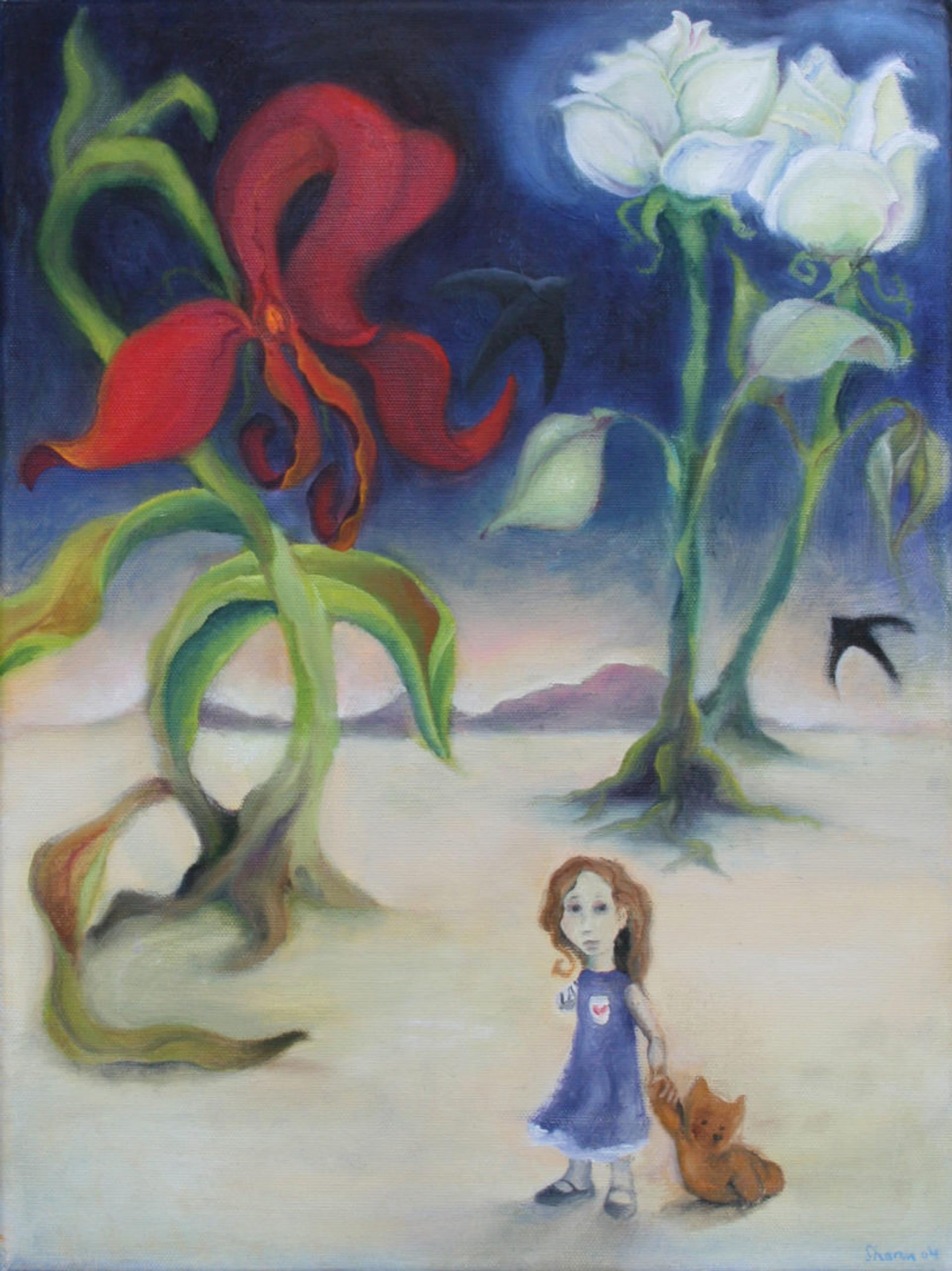 Shasha in Wonderland