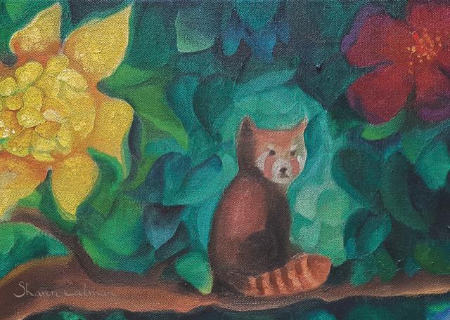 Postkarte Roter Panda