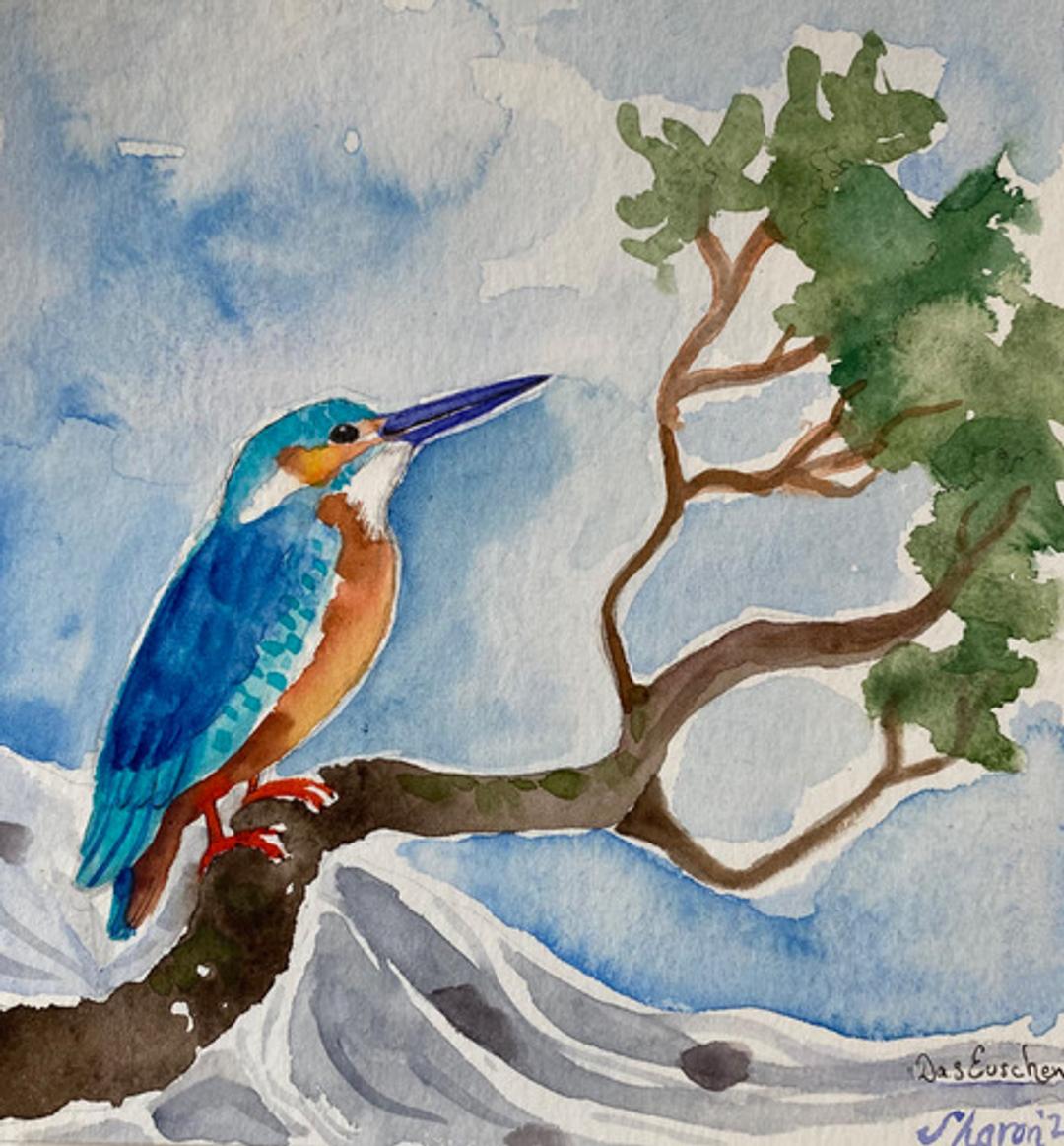 Eisvogel