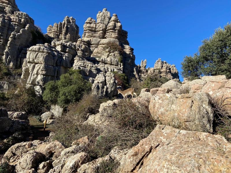 El Torcal de Antequera