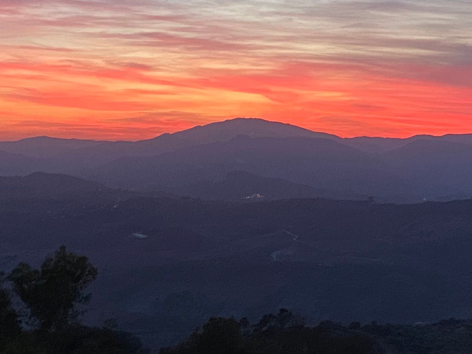 Goodnight, Axarquía