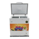 PURCH AC POWERED INVERTER  FREEZER 1