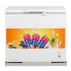 PURCH AC  POWERED  INVERTER  FREEZER 2
