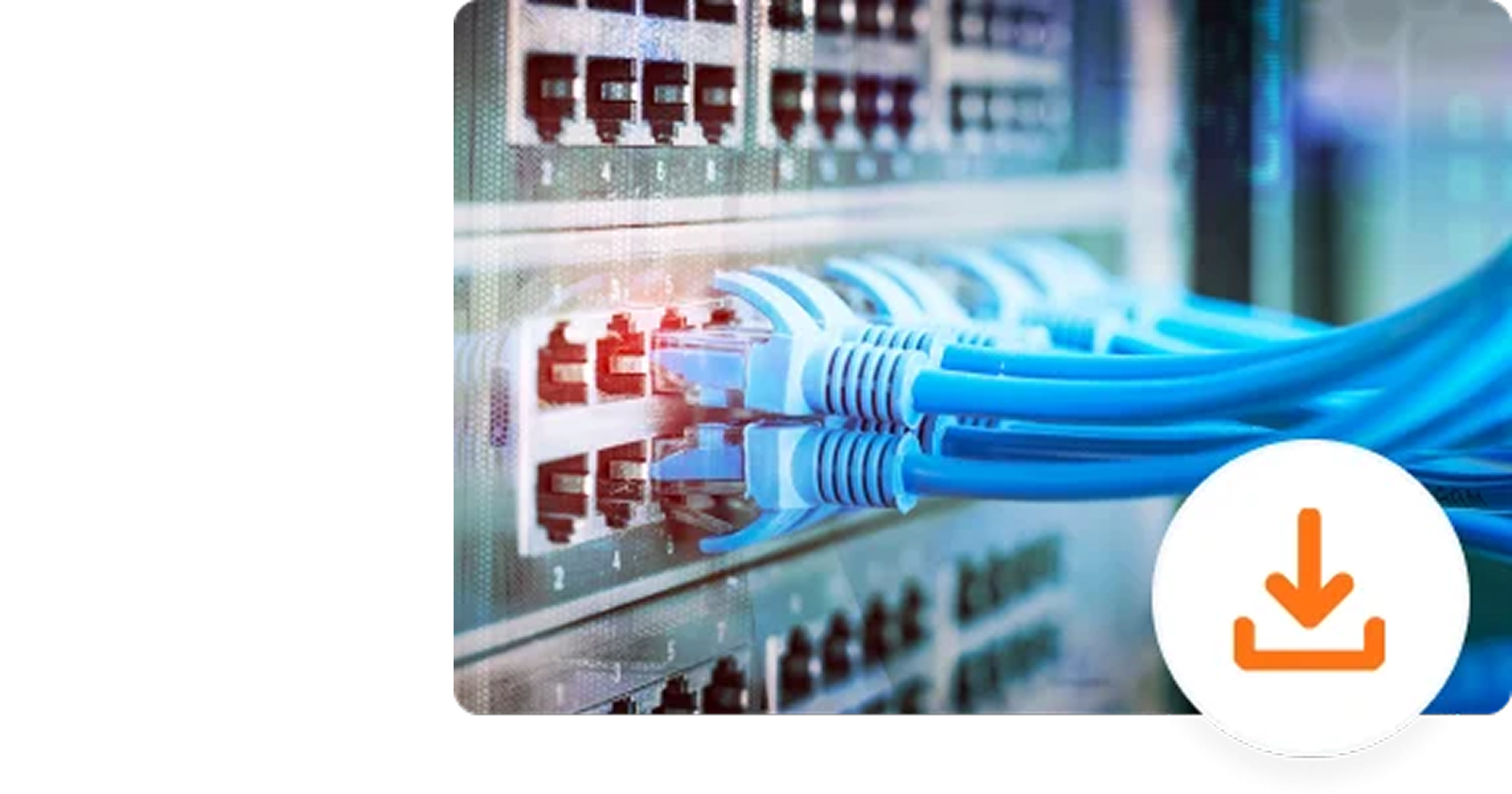 Case Study | Cables To Go: Connecting Customers with Refined Solutions Through Search