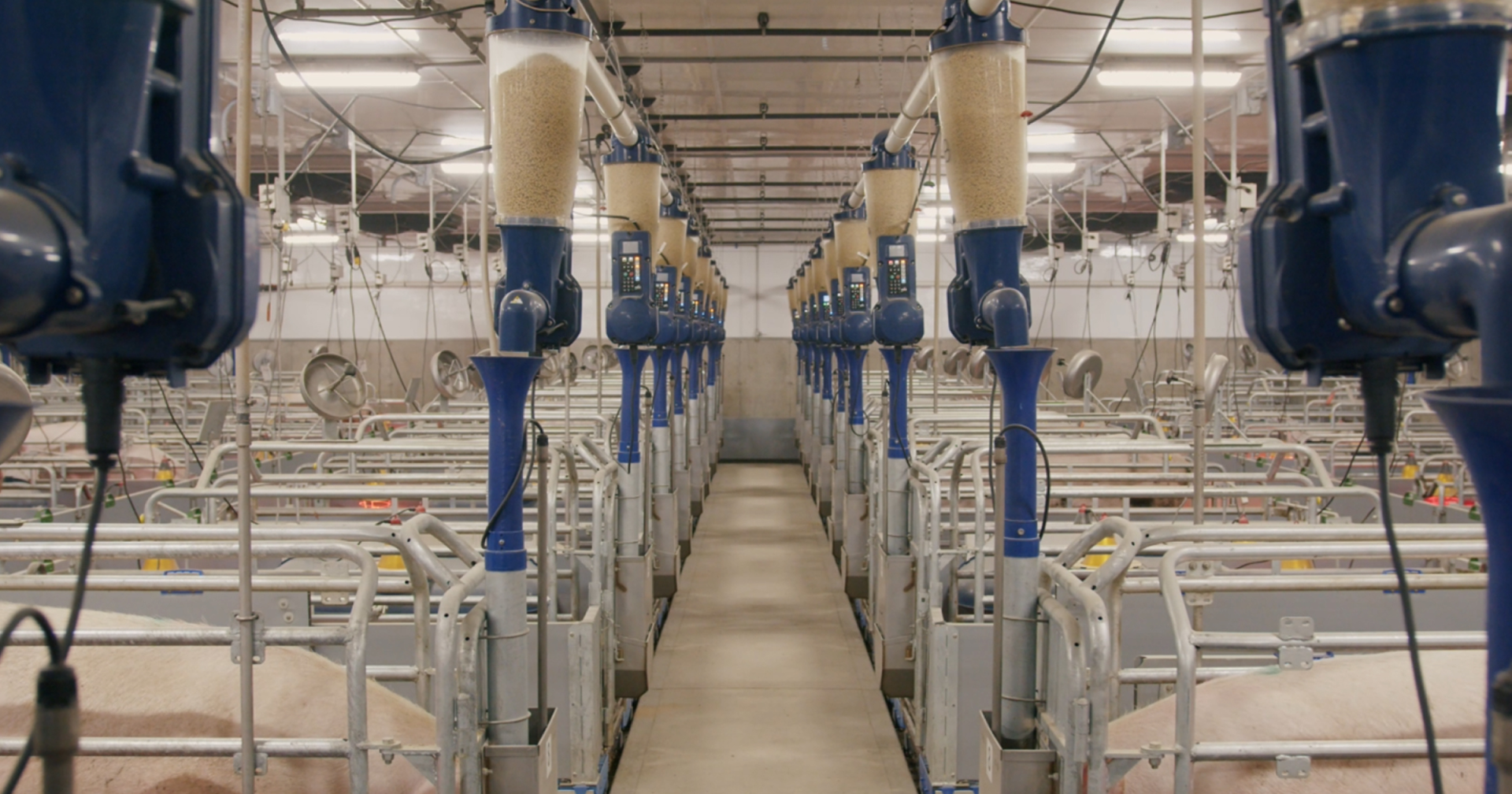 Case Study | Transforming a traditional B2B model into a strategic digital growth driver