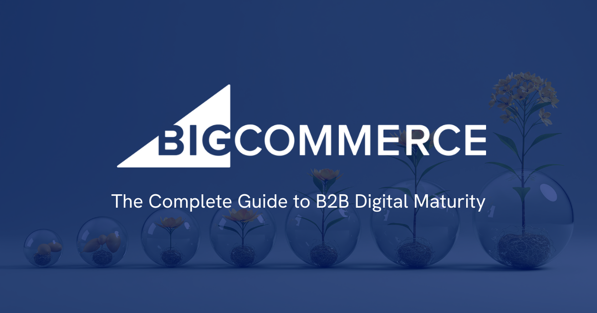 The Complete Guide to B2B Digital Maturity