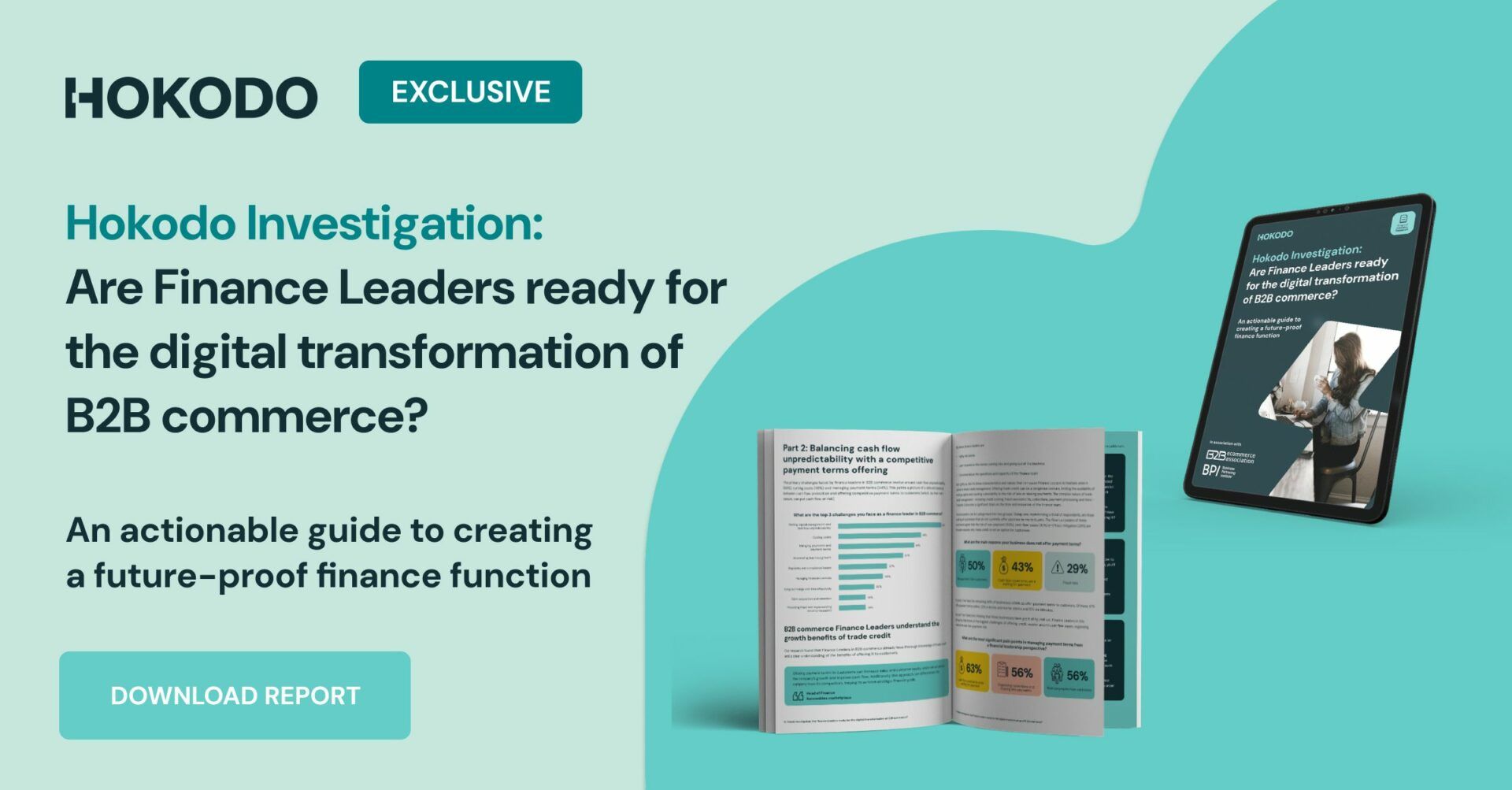 Hokodo B2B eCommerce CFO Survey Report