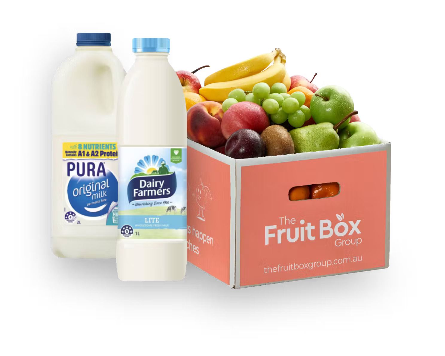 Case Study | The Fruit Box: Delivering joy, nutrition, and satisfaction through a top web portal.