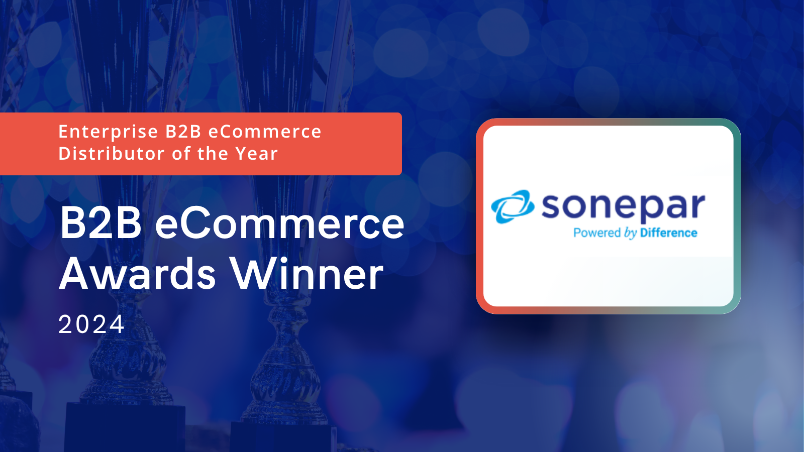 Sonepar Wins 2024 Enterprise B2B eCommerce Distributor of the Year