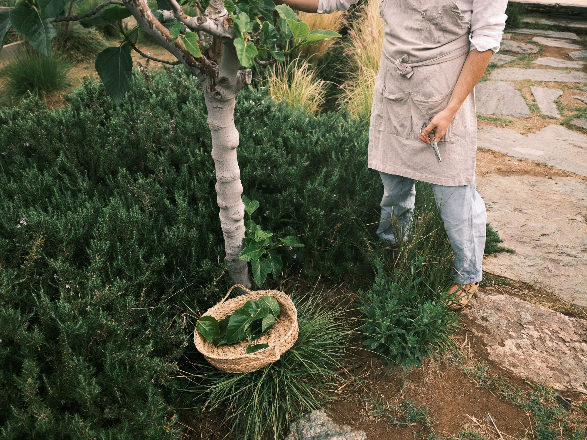 Lygaria for Kea Retreat, photograph 6 by Žan Vargek