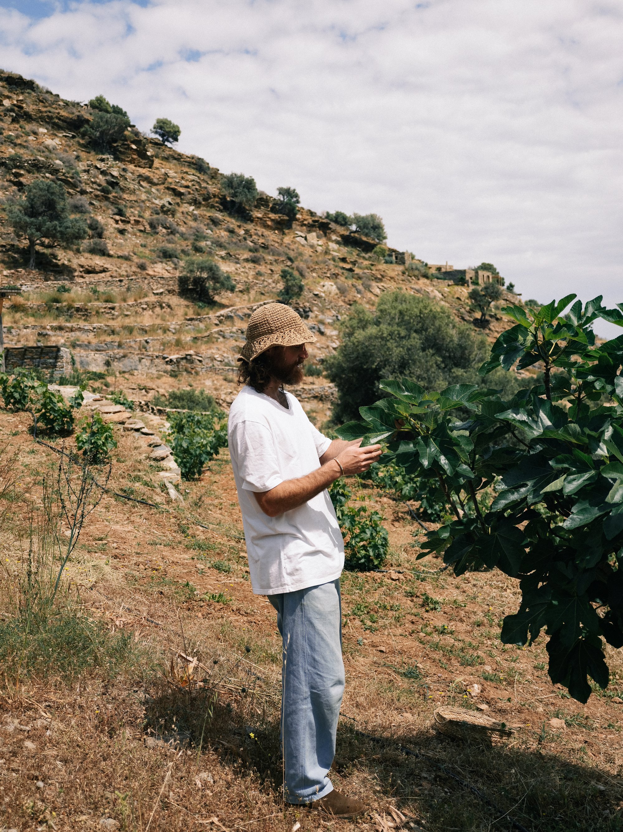 Lygaria for Kea Retreat, photograph 6 by Žan Vargek