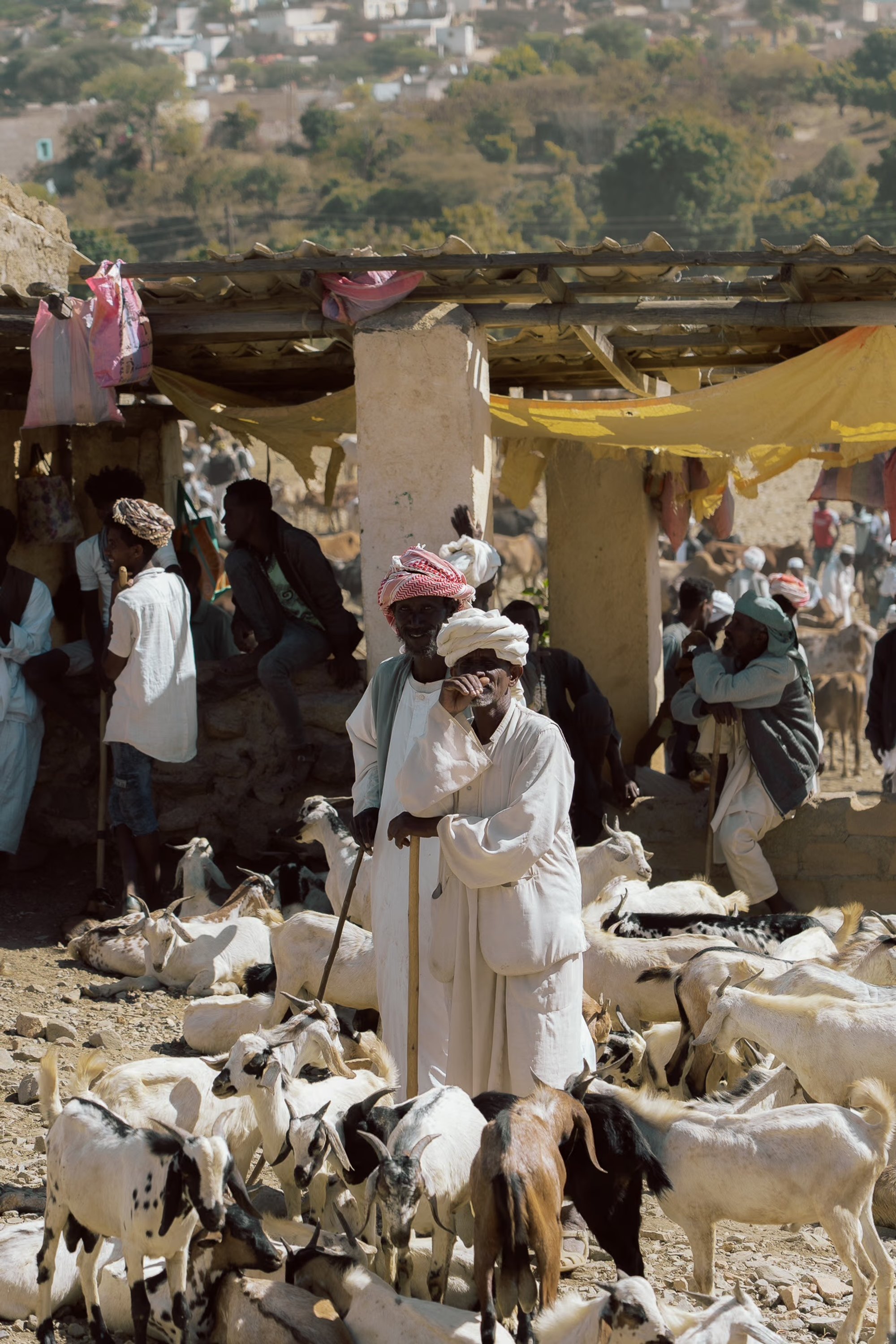 Eritrea for Journey, photograph 22 by Žan Vargek