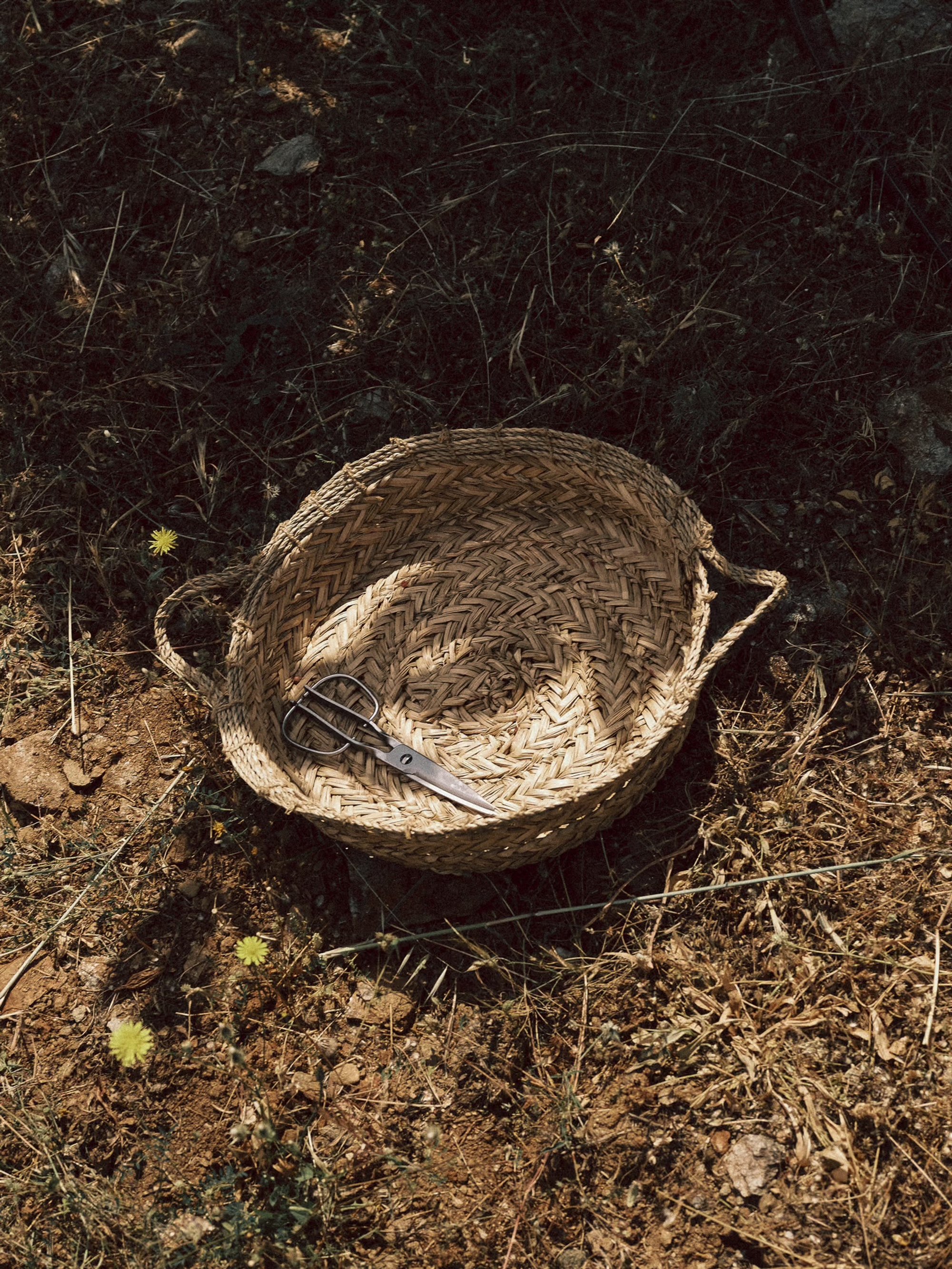 Lygaria for Kea Retreat, photograph 9 by Žan Vargek