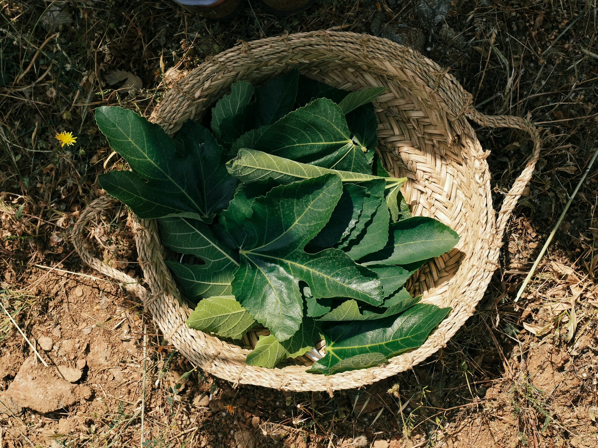 Lygaria for Kea Retreat, photograph 5 by Žan Vargek