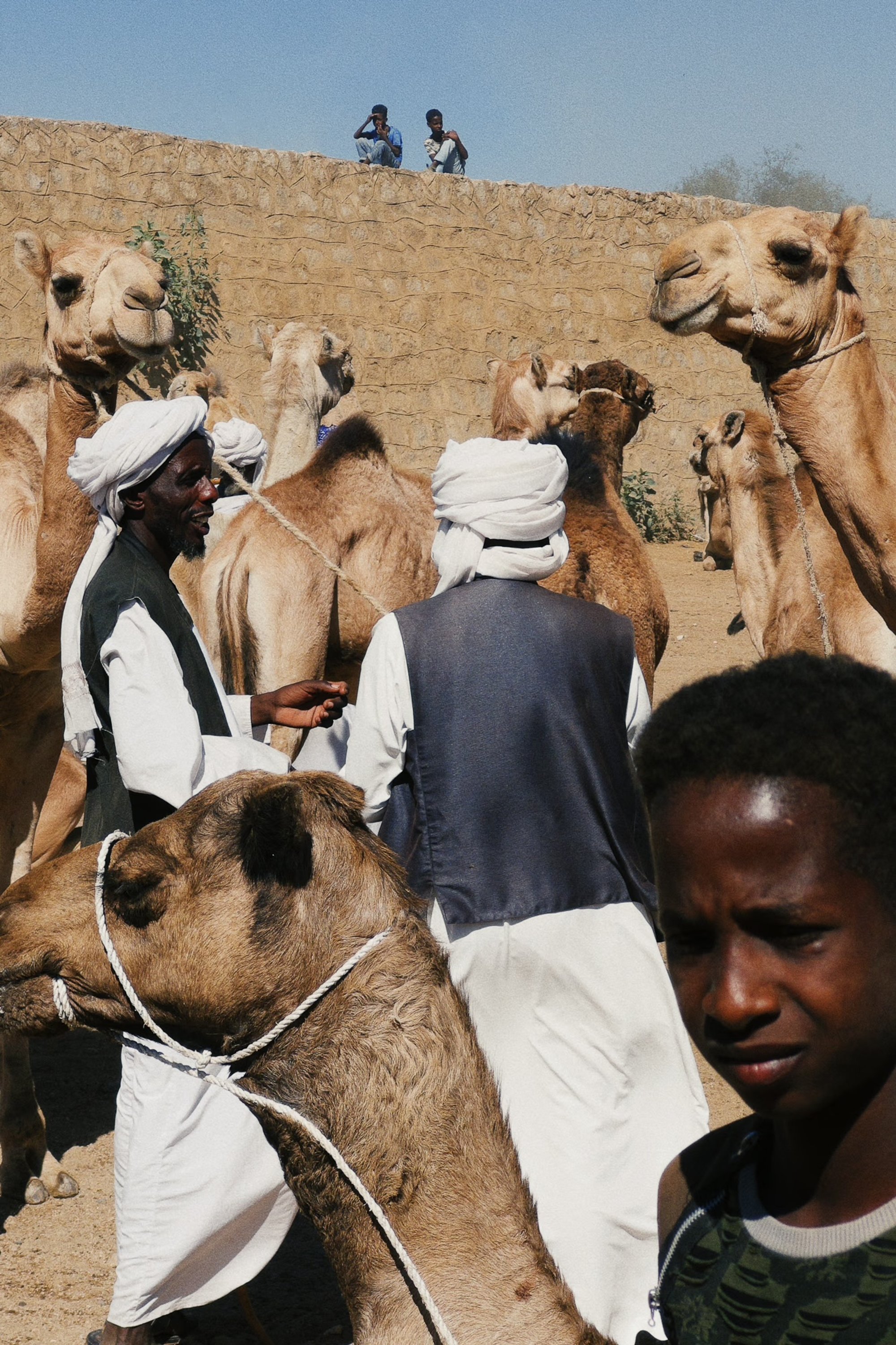 Eritrea for Journey, photograph 23 by Žan Vargek