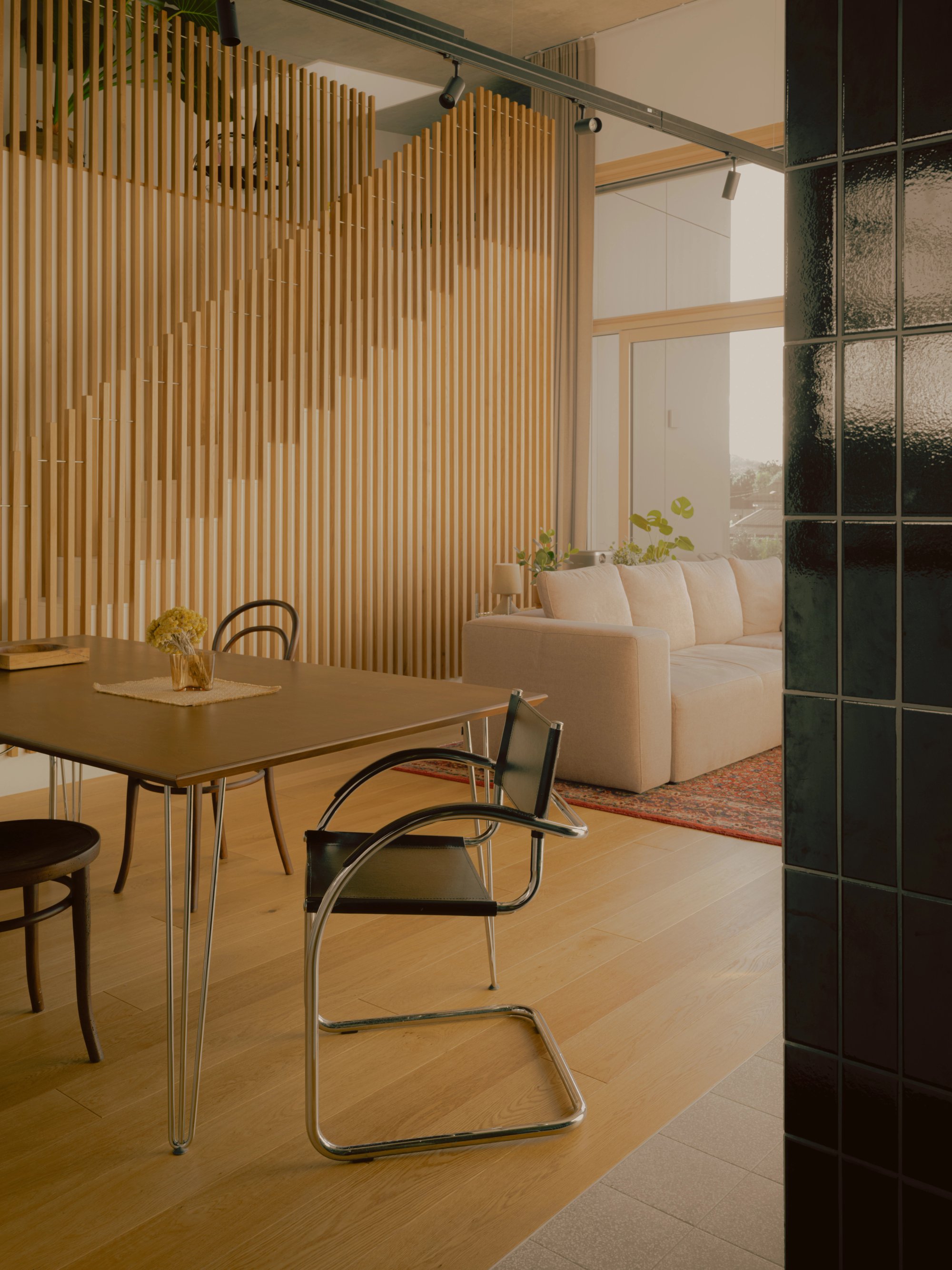 Apartment Brdnikova for Atekt Architecture, photograph 4 by Žan Vargek