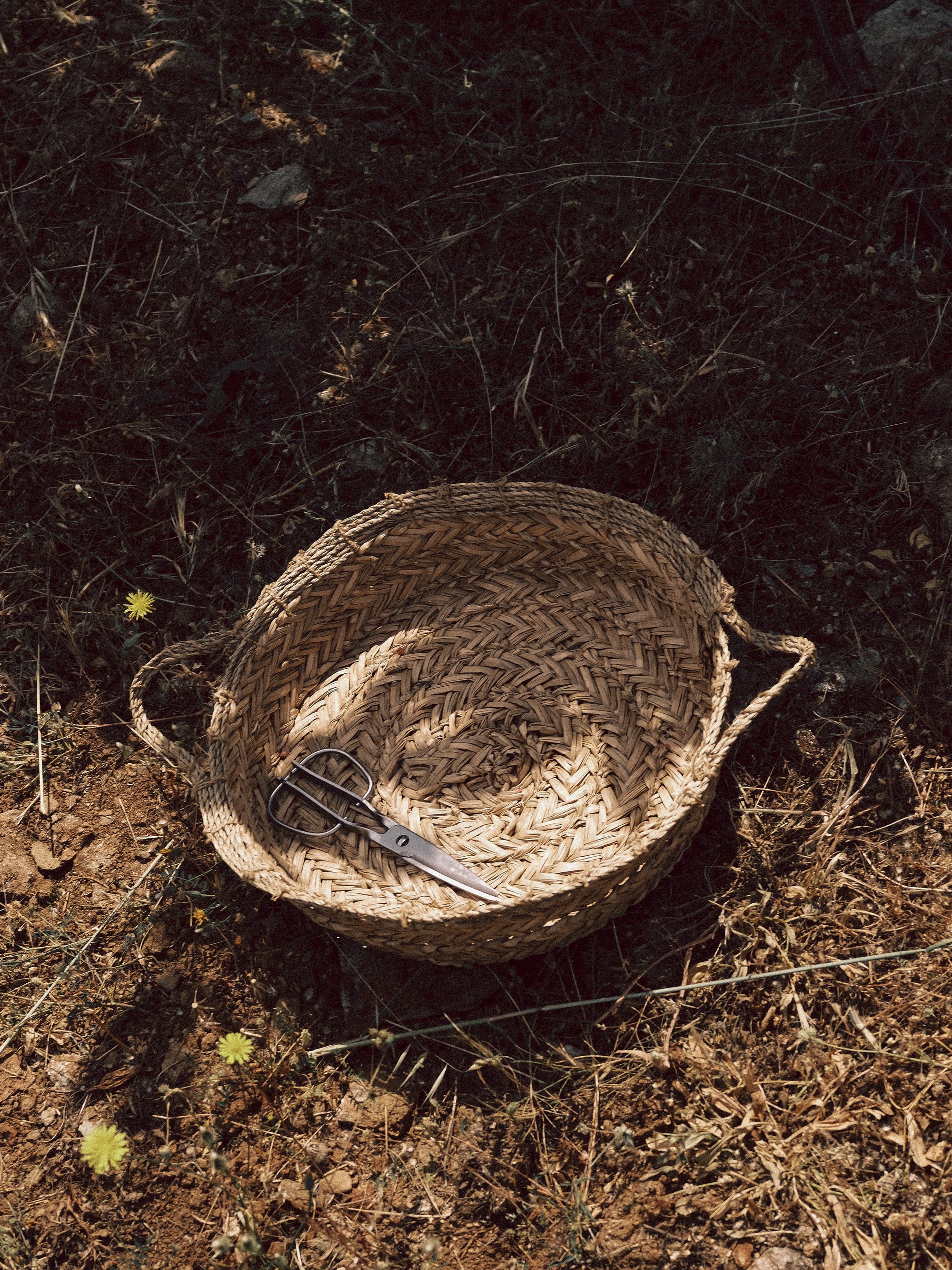 Lygaria for Kea Retreat, photograph 4 by Žan Vargek