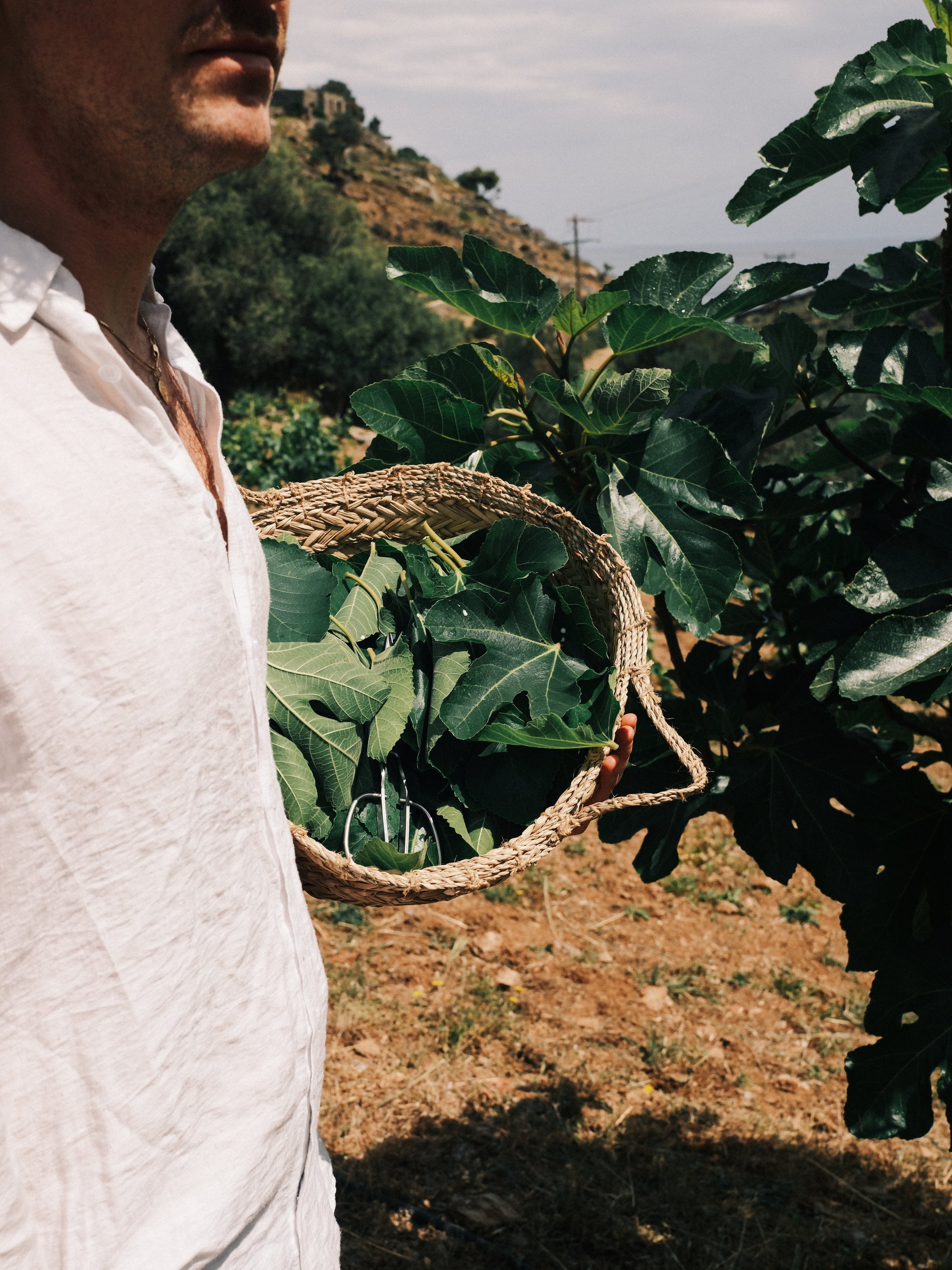Lygaria for Kea Retreat, photograph 5 by Žan Vargek