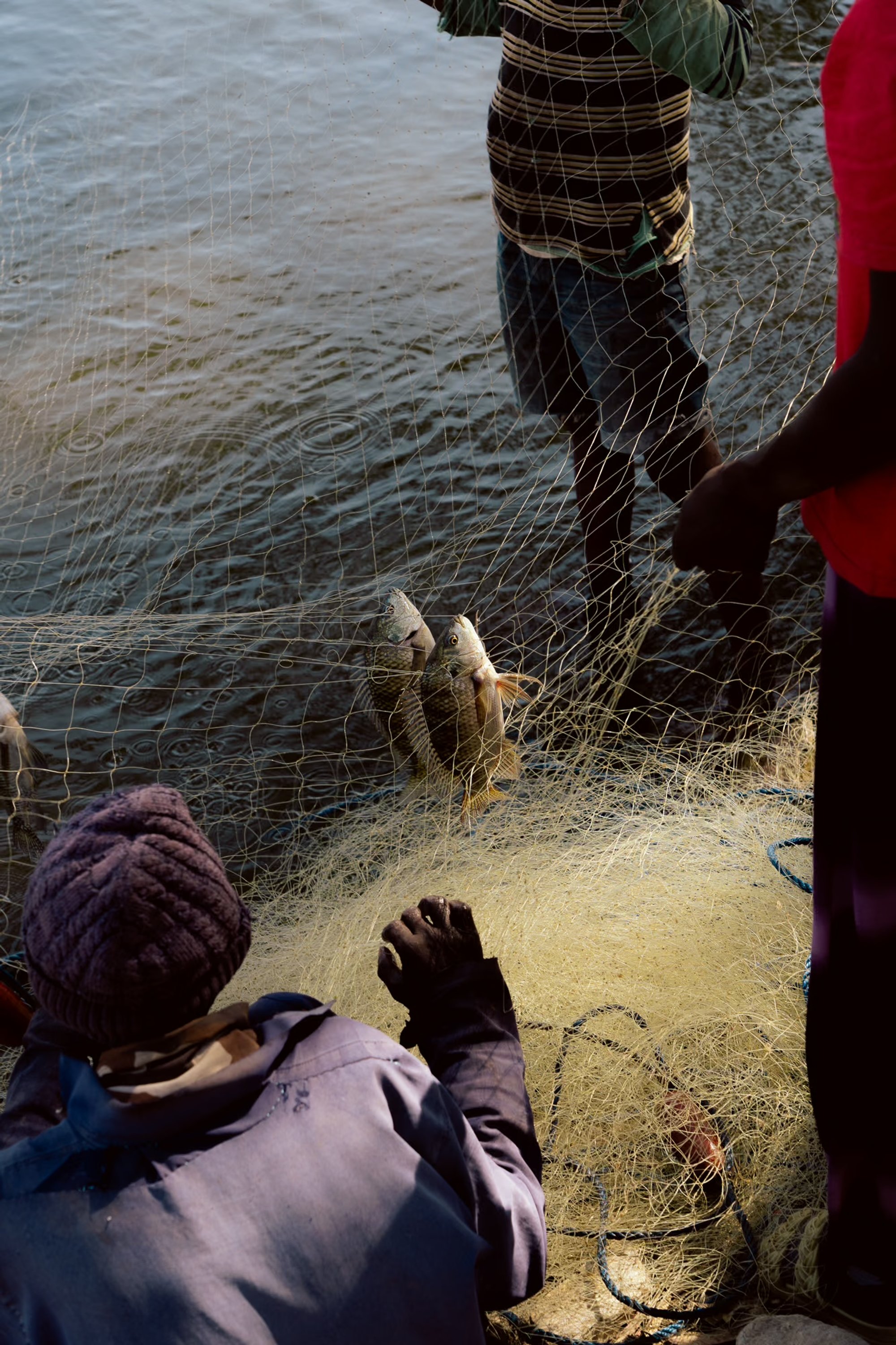 Eritrea for Journey, photograph 11 by Žan Vargek