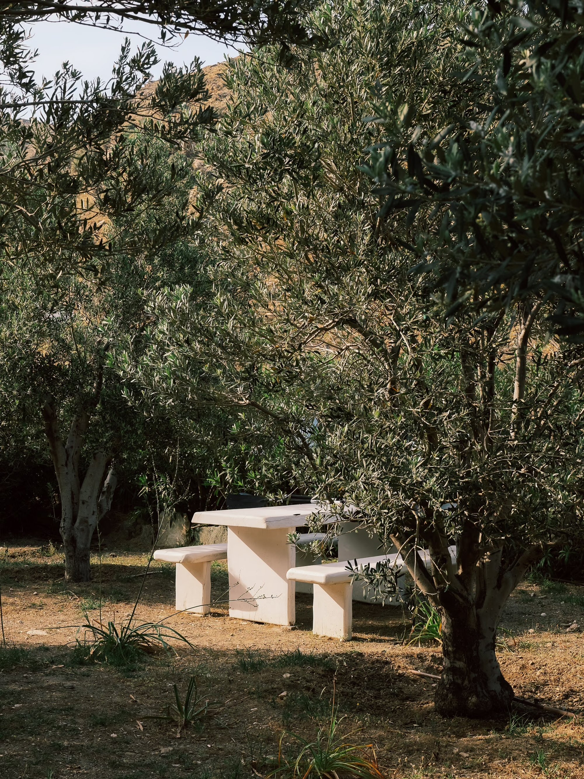 Lygaria for Kea Retreat, photograph 23 by Žan Vargek