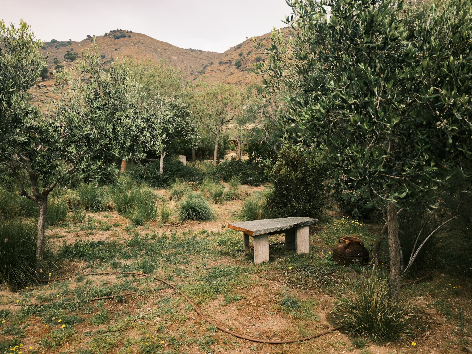 Lygaria for Kea Retreat, photograph 3 by Žan Vargek