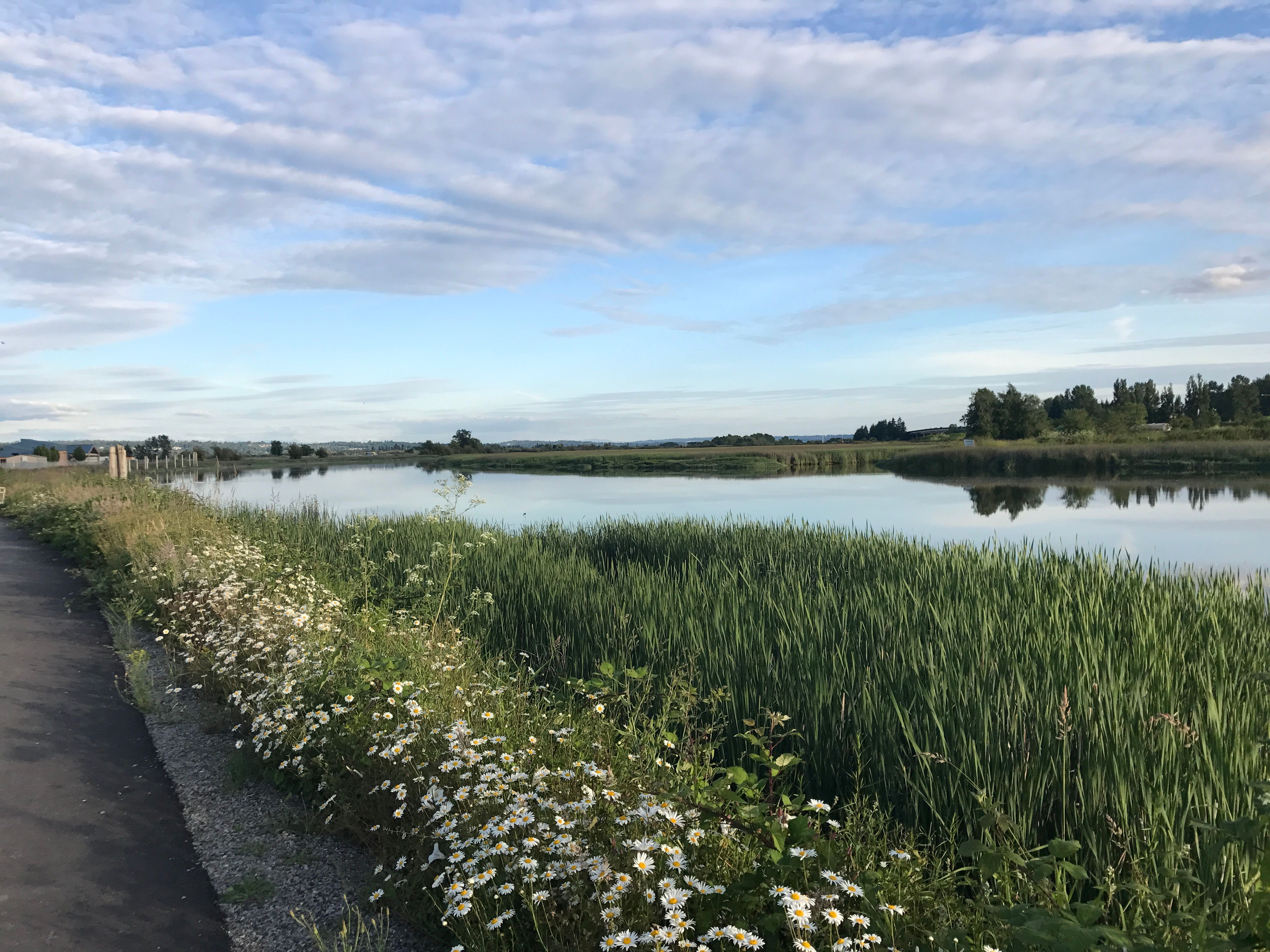 Ebey Waterfront Park & Trail
