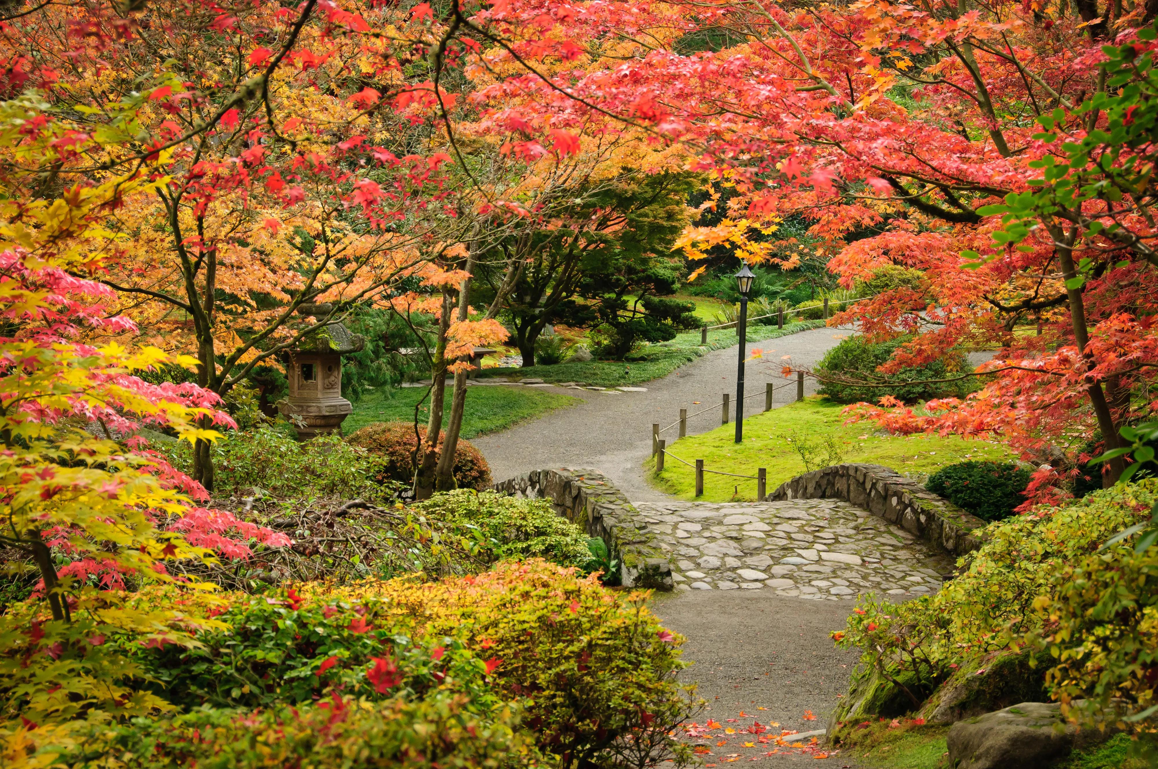 Washington Park Arboretum