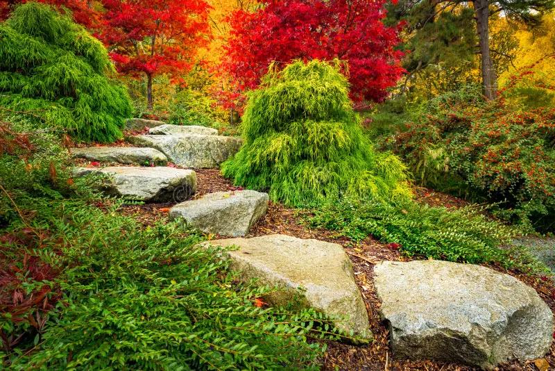 Kubota Garden