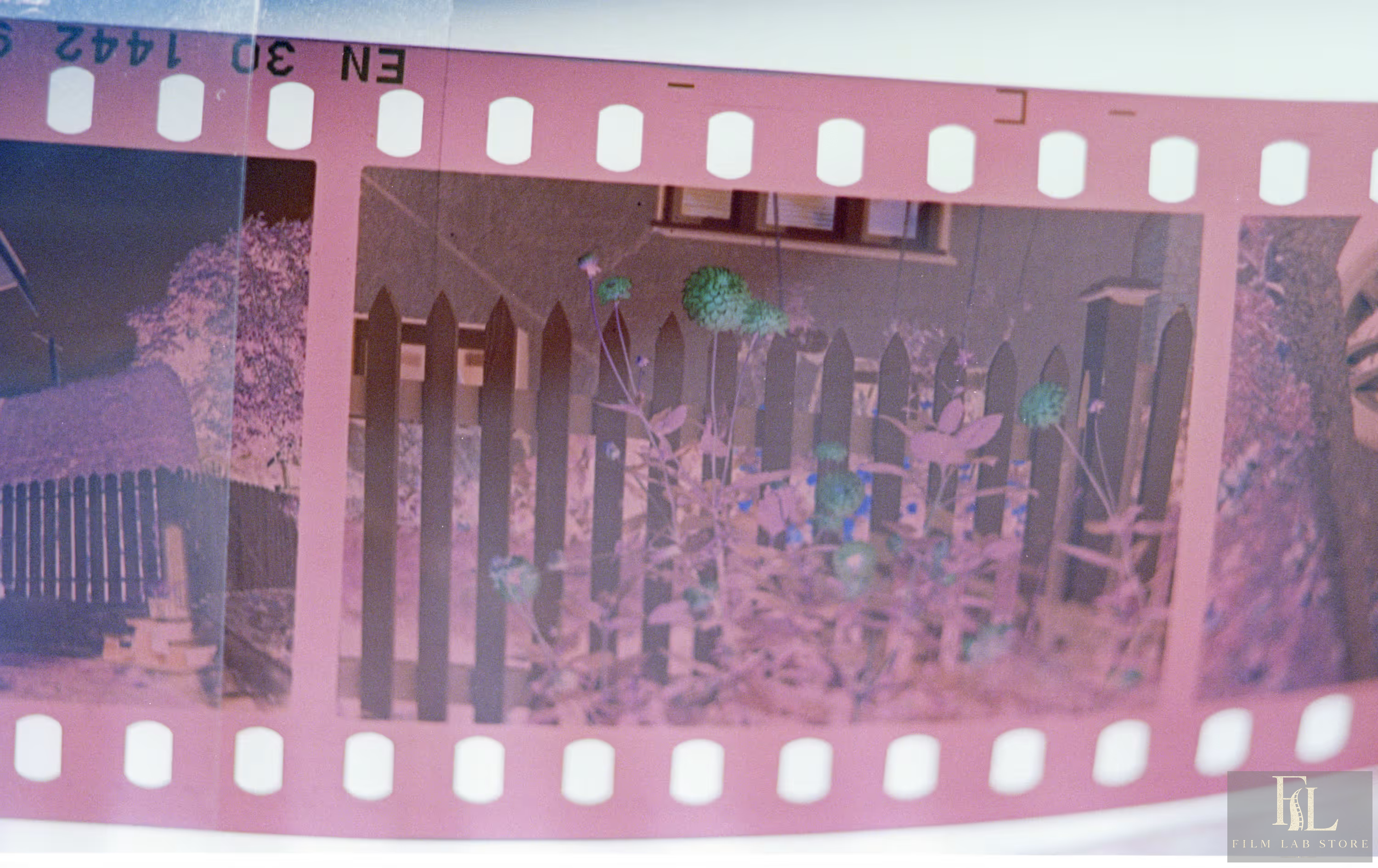 Developed strip of 35mm colour-negative film