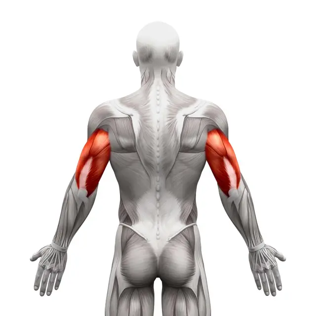 6 triceps oefeningen die je gewoon thuis kunt uitvoeren￼