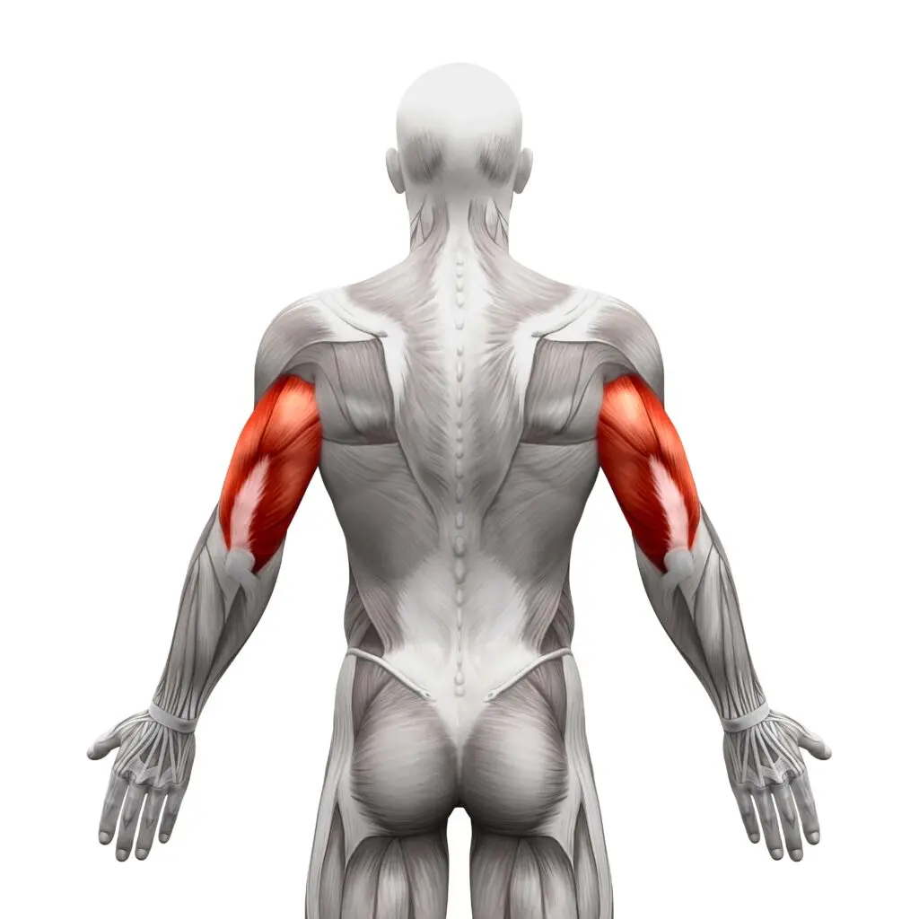 6 triceps oefeningen die je gewoon thuis kunt uitvoeren
