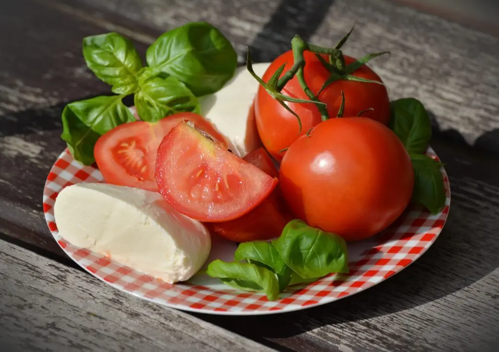 mozzarella tomaat