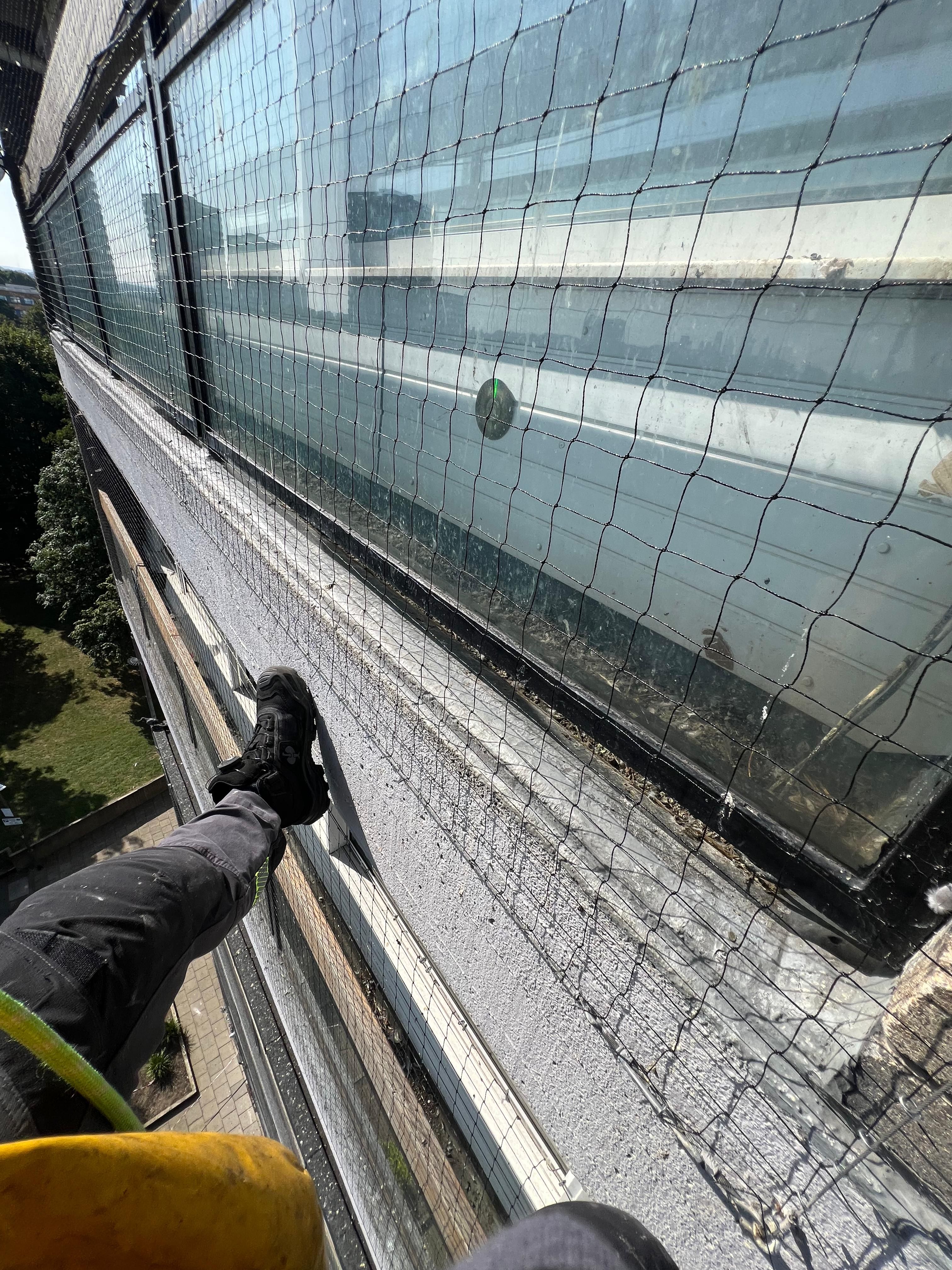 Bird Control & Proofing