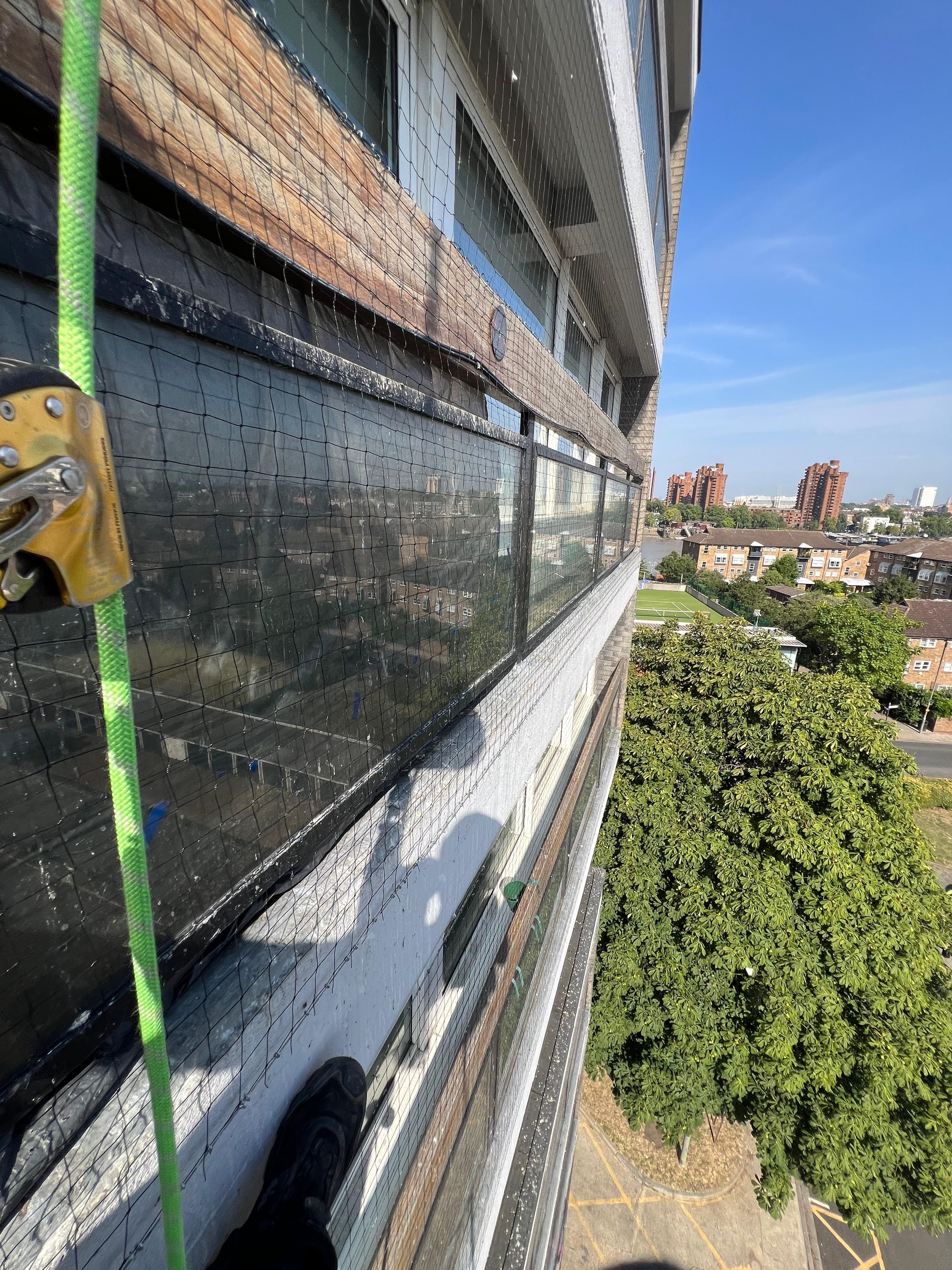 Bird Control & Proofing