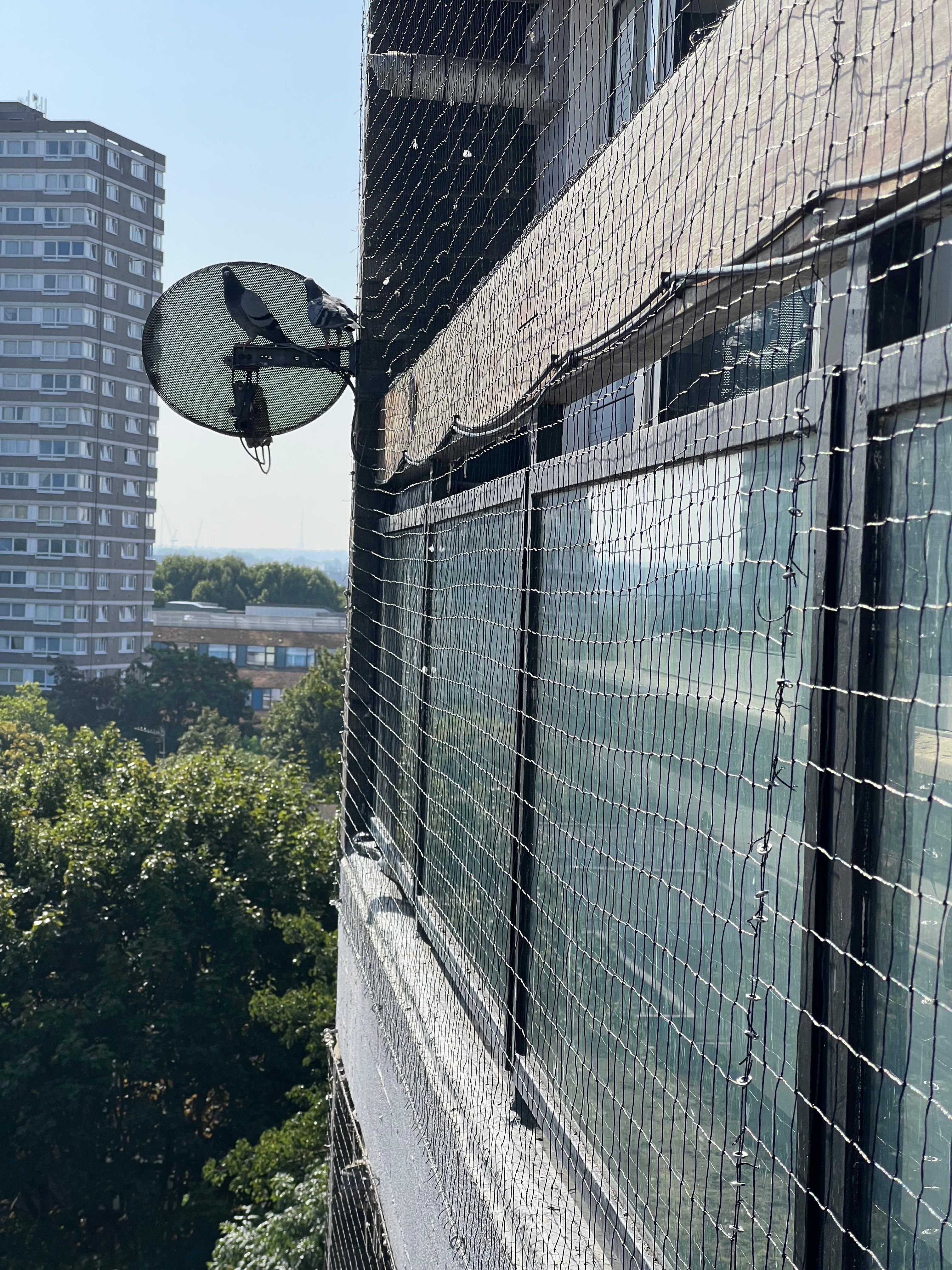 Bird netting installed by rope access