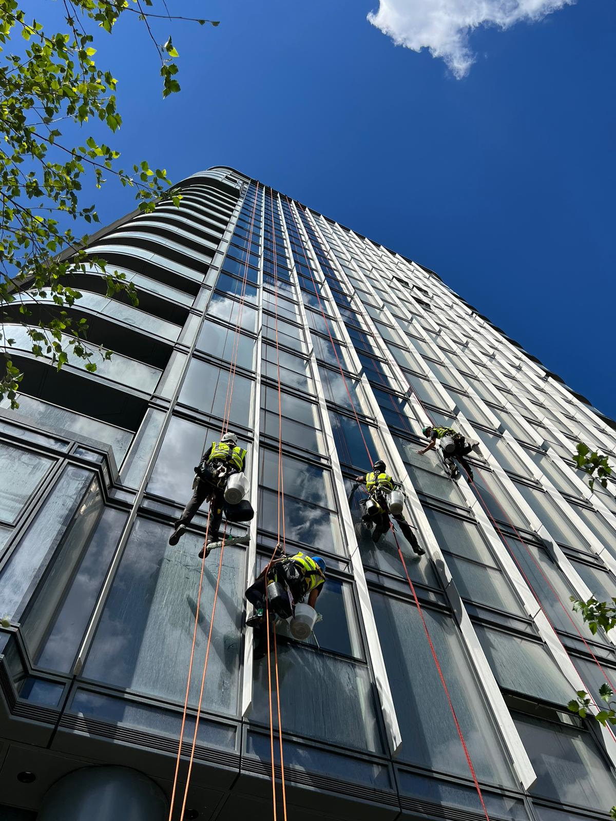 Commercial Window Cleaning