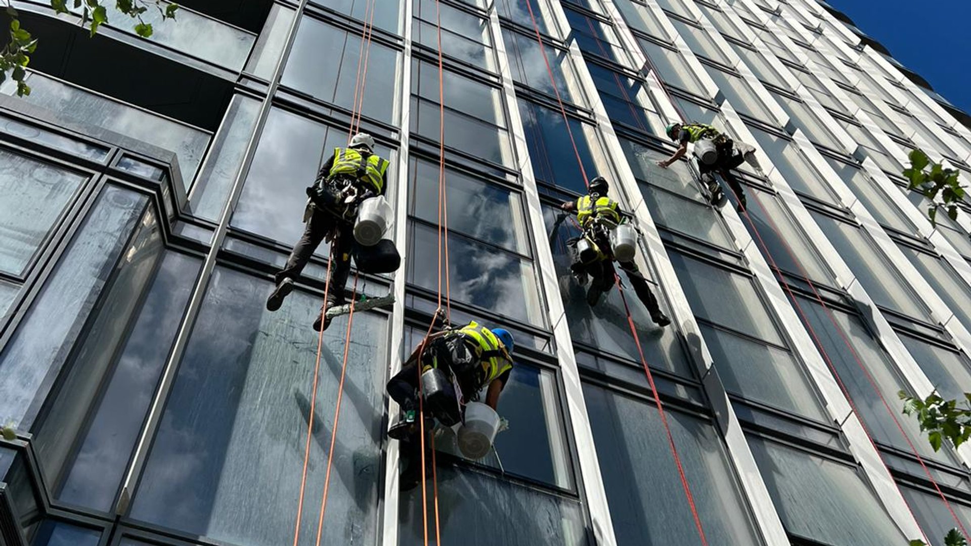 Commercial Window Cleaning