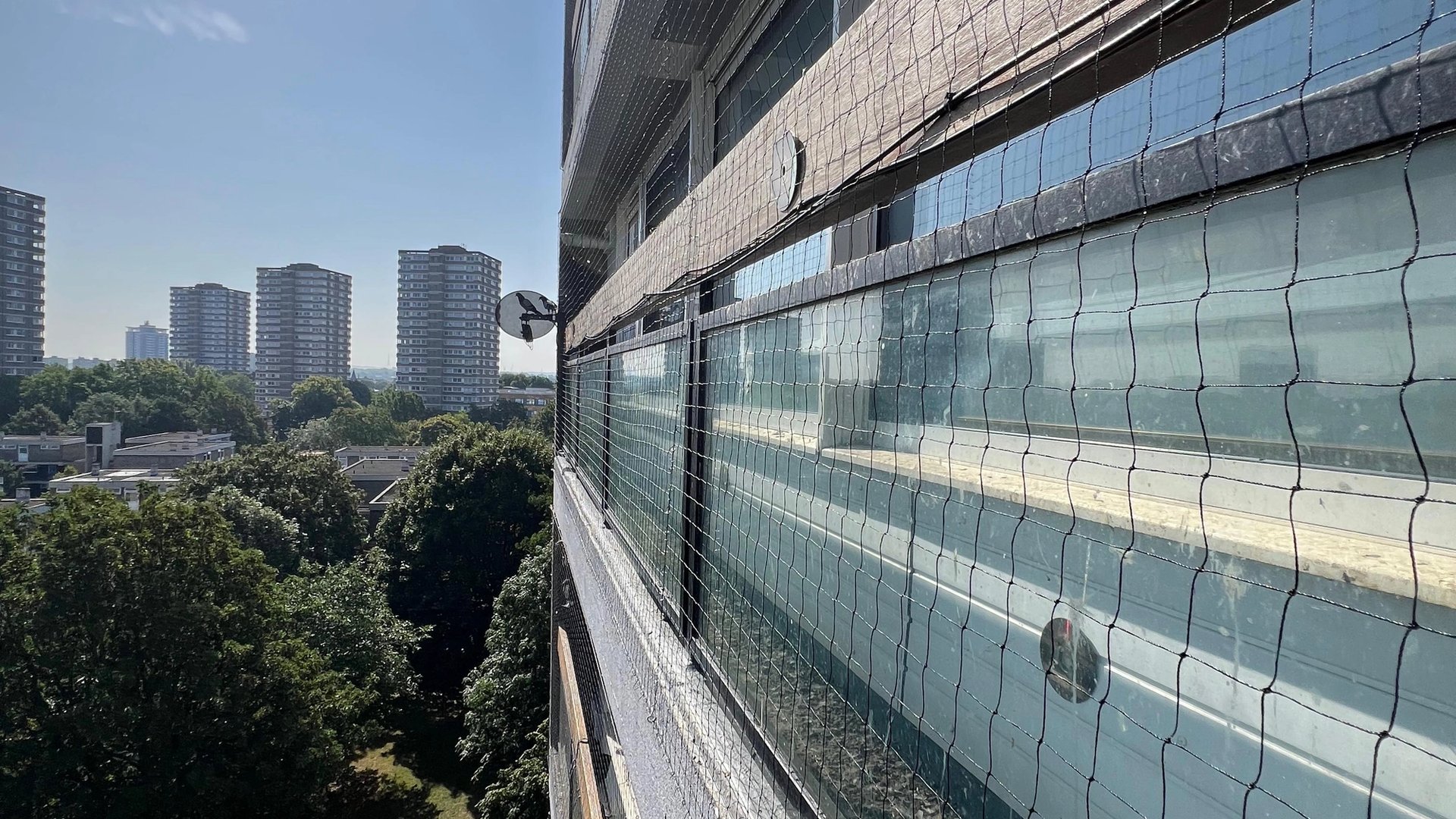 Bird Control & Proofing