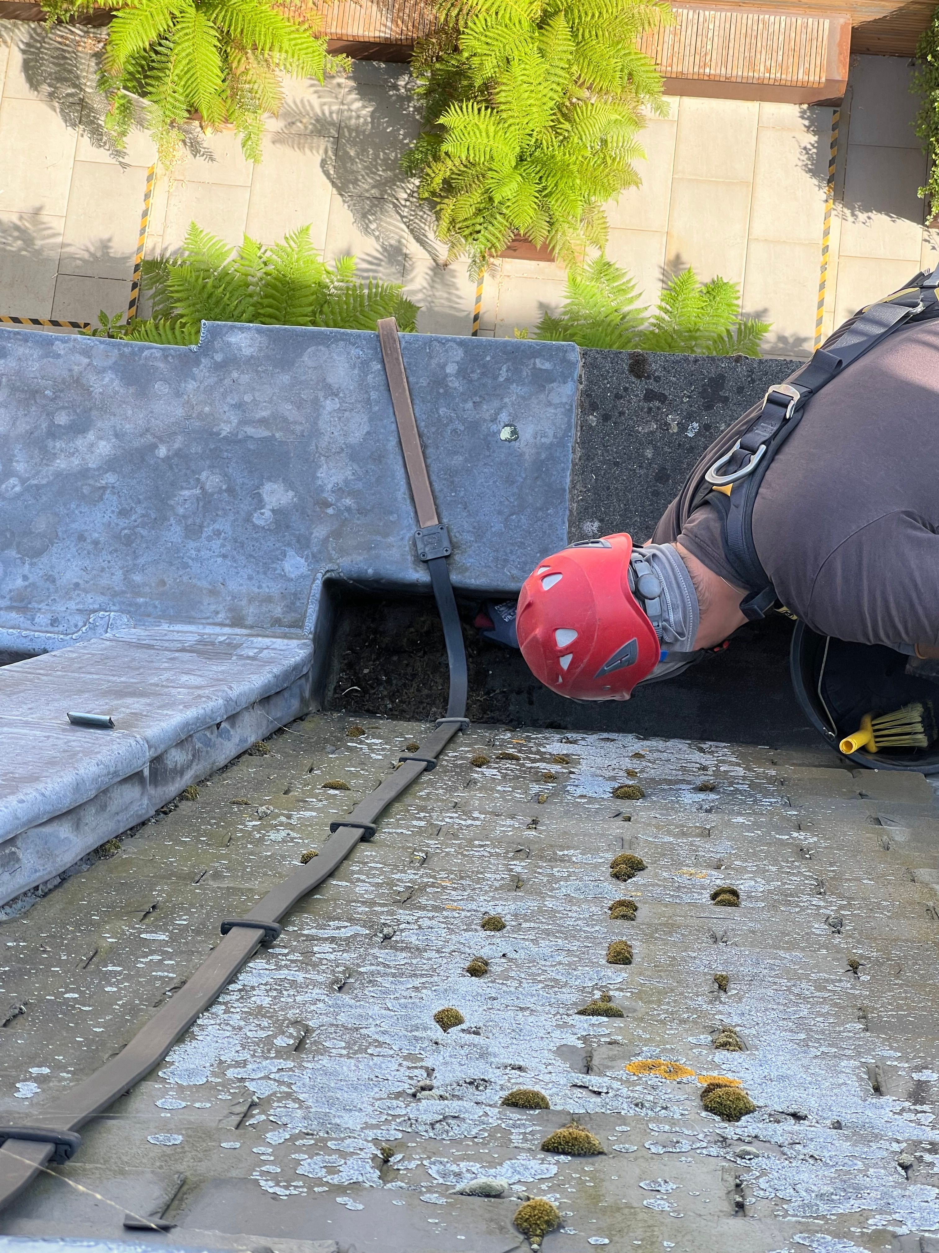 Gutter Cleaning - Pimlico