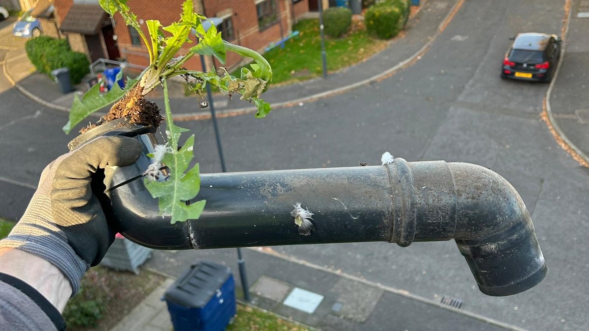 Gutter Cleaning & Repairs