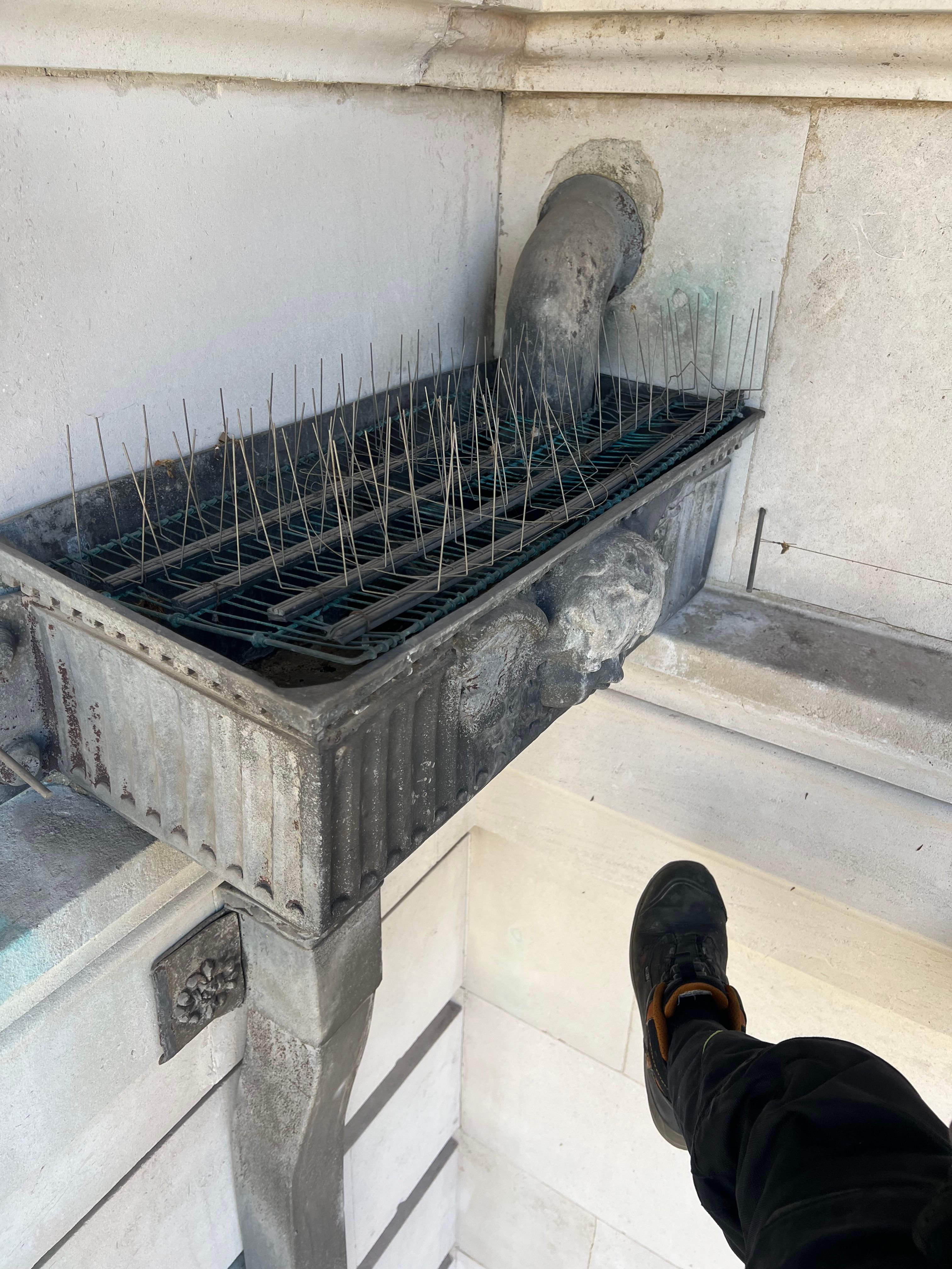 Rainwater Hopper Cleaning – Pimlico