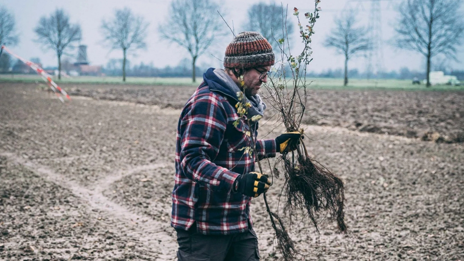 A person in a beanie and plaid shirt holds a bundle of tree saplings in a plowed field.