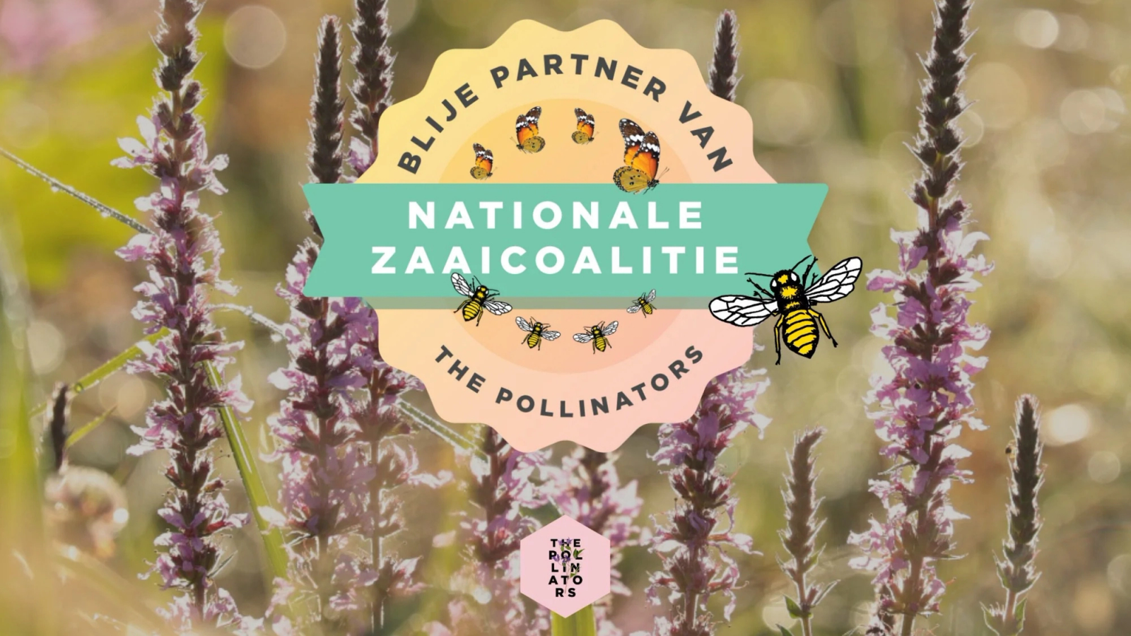 Grafische Überlagerung auf violetten Blumen mit den Schriftzügen „Blije Partner Van Nationale Zaaicoalitie“ und „The Pollinators“ sowie Illustrationen von Schmetterlingen und Bienen.