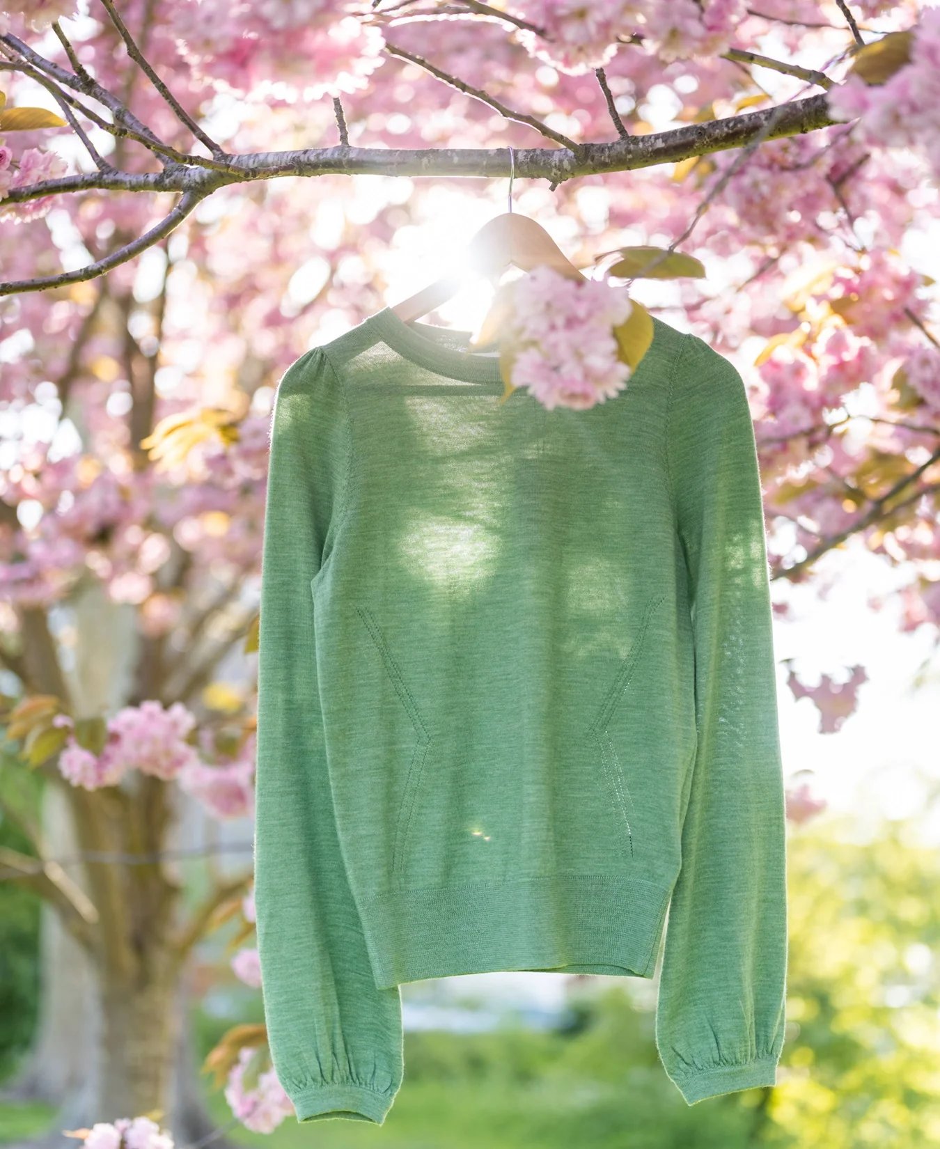 A light green long-sleeved top on a hanger hangs from a branch covered in pink cherry blossoms.