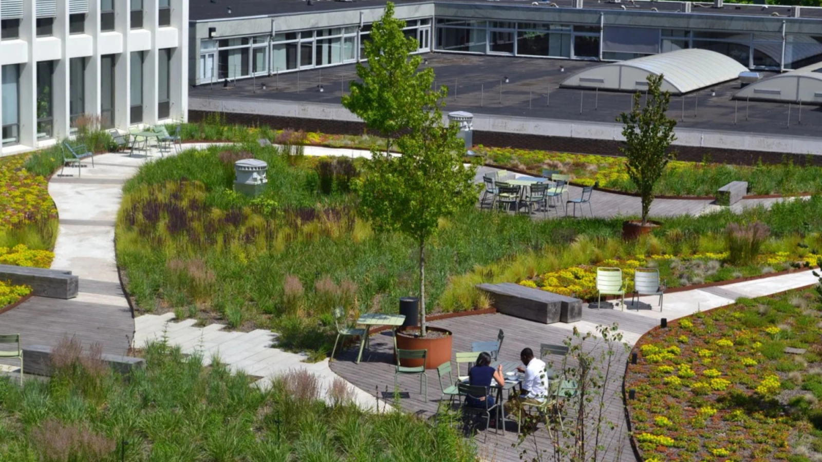 A green rooftop garden with winding paths, a variety of plants, outdoor seating, and two people at a table.
