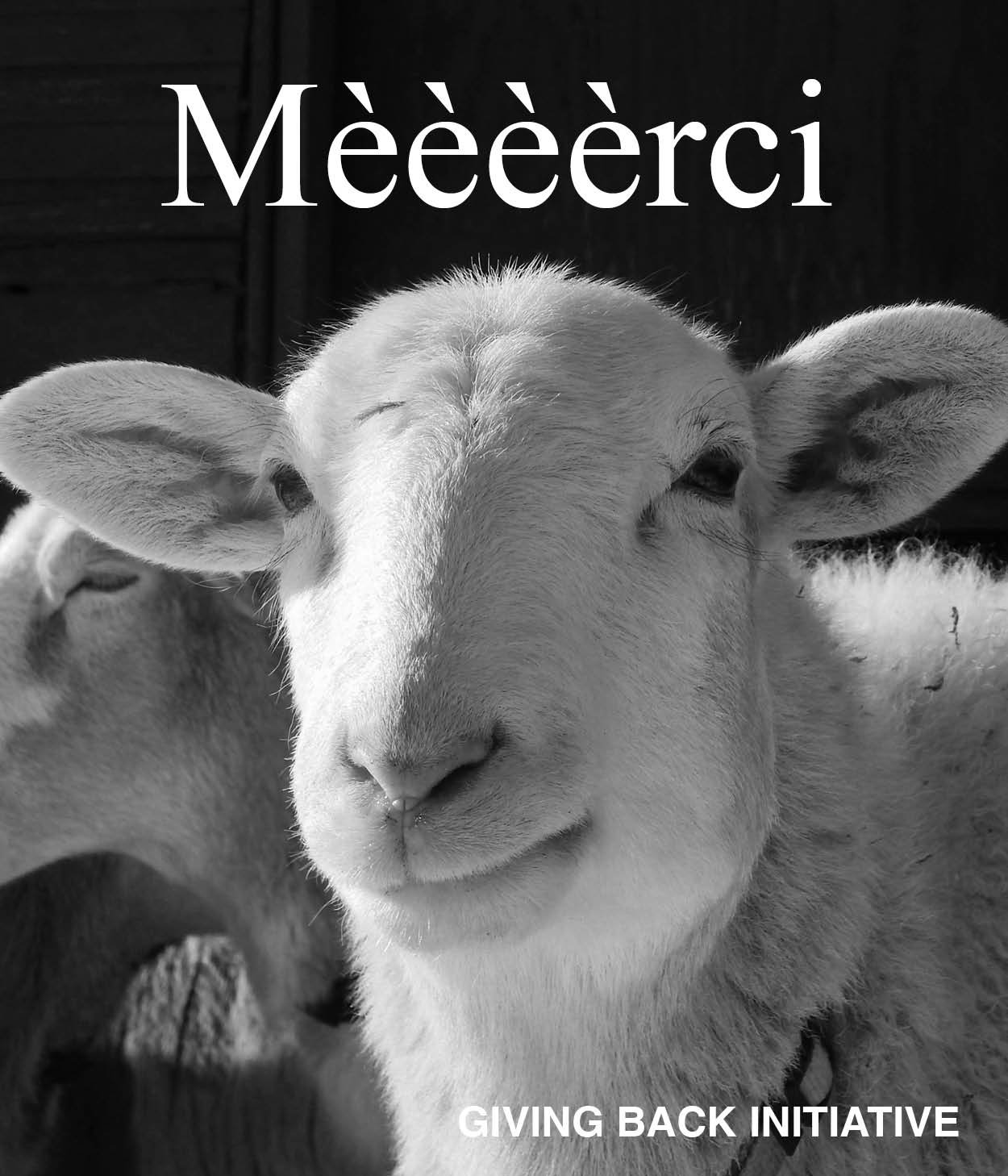 Schwarz-Weiß-Nahaufnahme eines Lamm, das nach vorne blickt, mit dem Text „Mèèèèèrci“ oben und „GIVING BACK INITIATIVE“ unten.