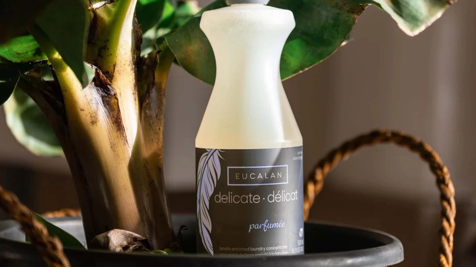 A bottle of Eucalan Delicate laundry detergent next to a potted houseplant.