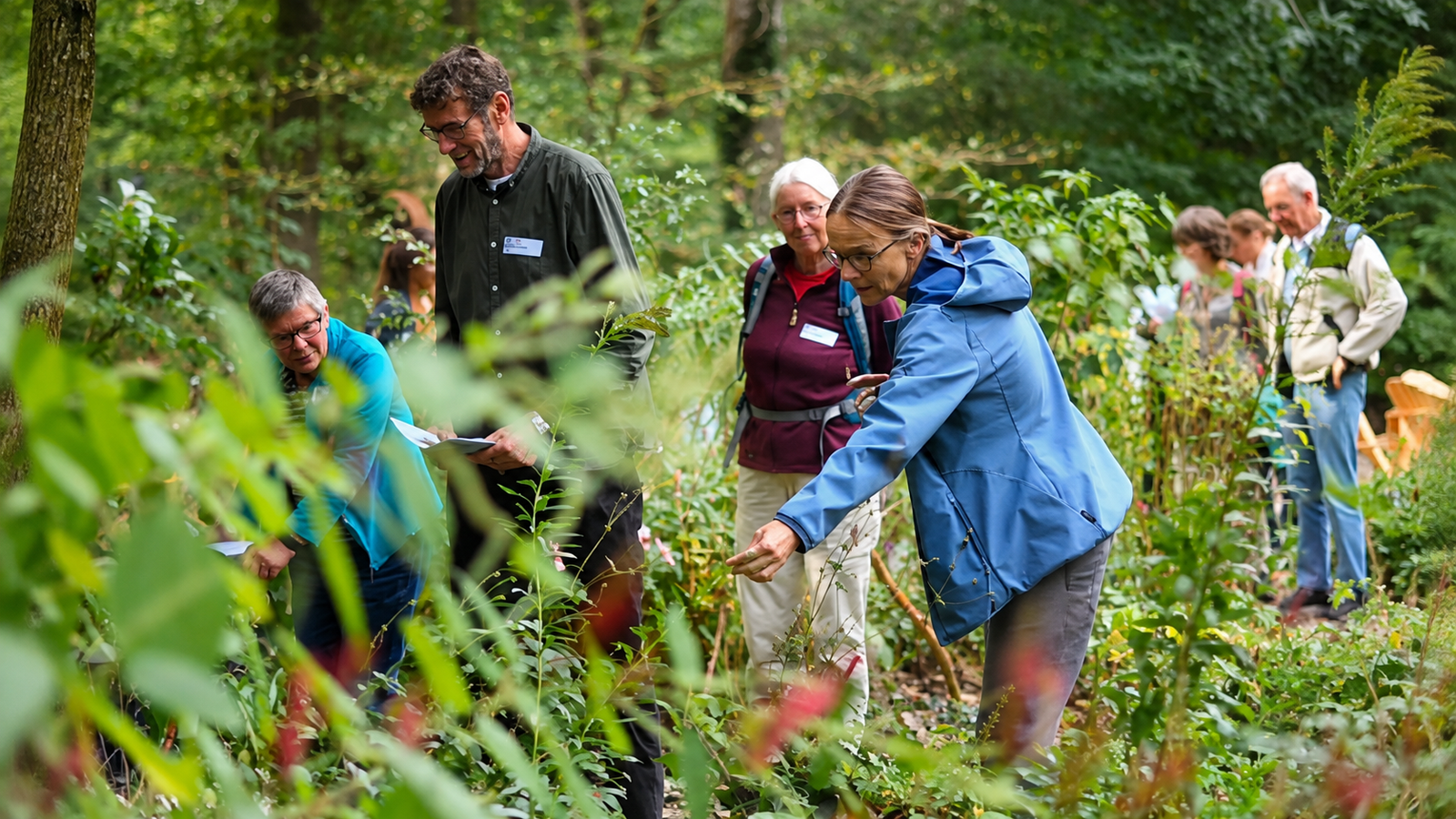Eine Gruppe von Menschen auf einem Spaziergang in der Natur, die Pflanzen im Wald untersuchen.
